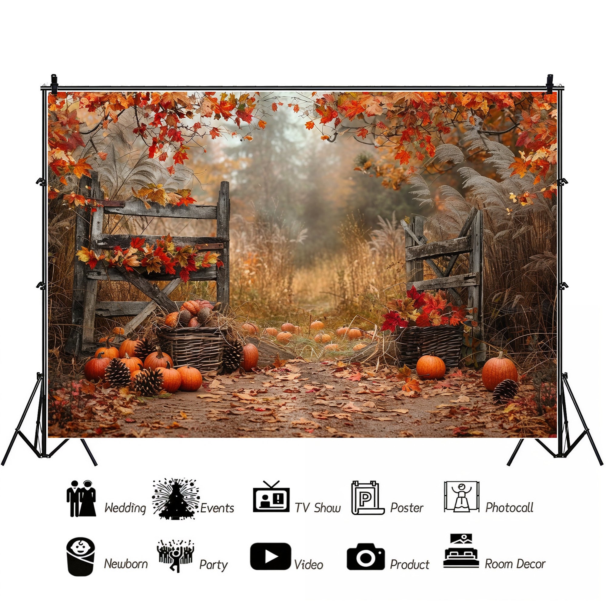 Autumn Rustic Pathway Backdrop