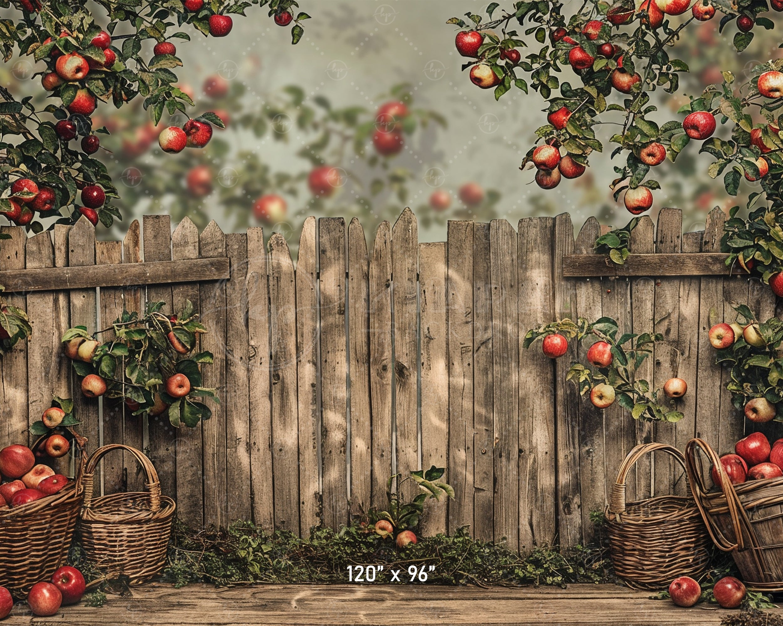 Rustic Apple Orchard Fence Backdrop