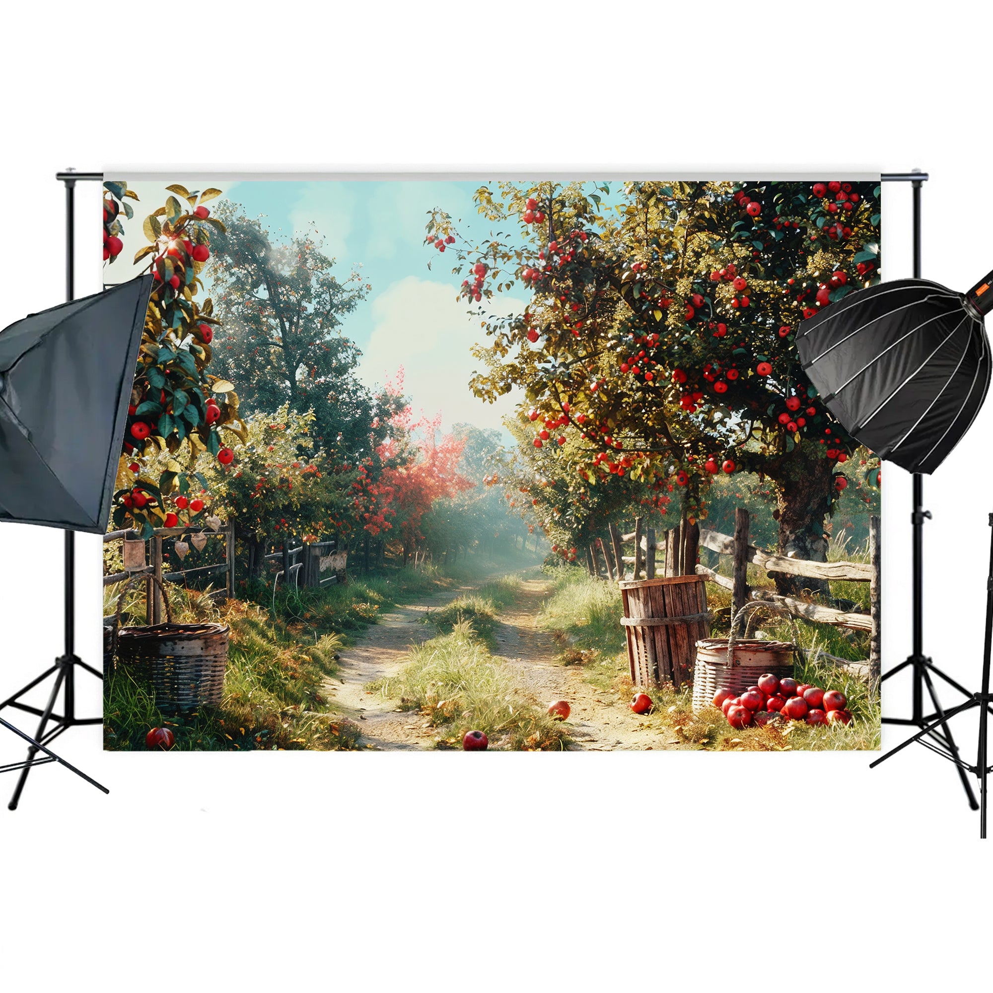 Apple Orchard Pathway Backdrop