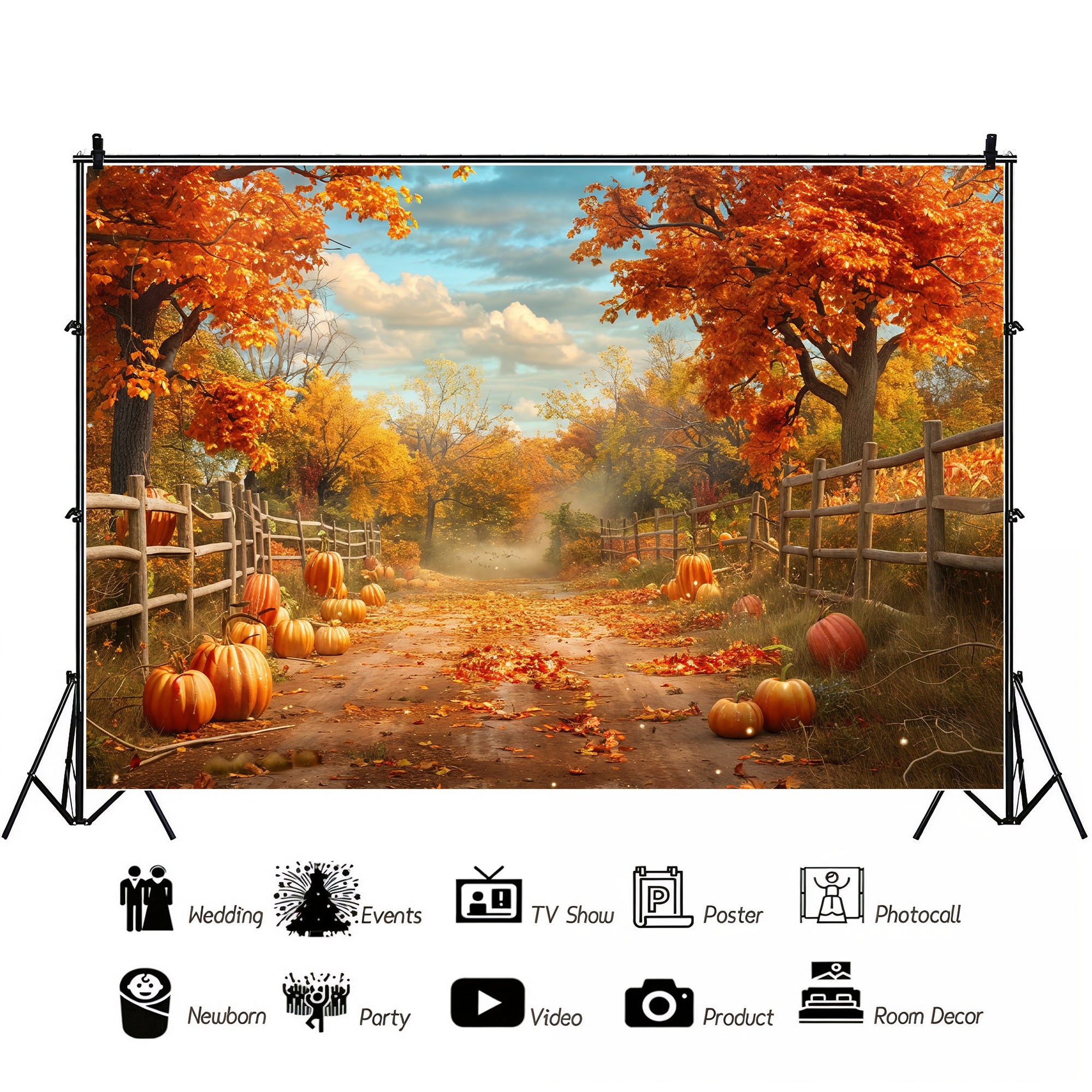 Rustic Autumn Pathway Backdrop