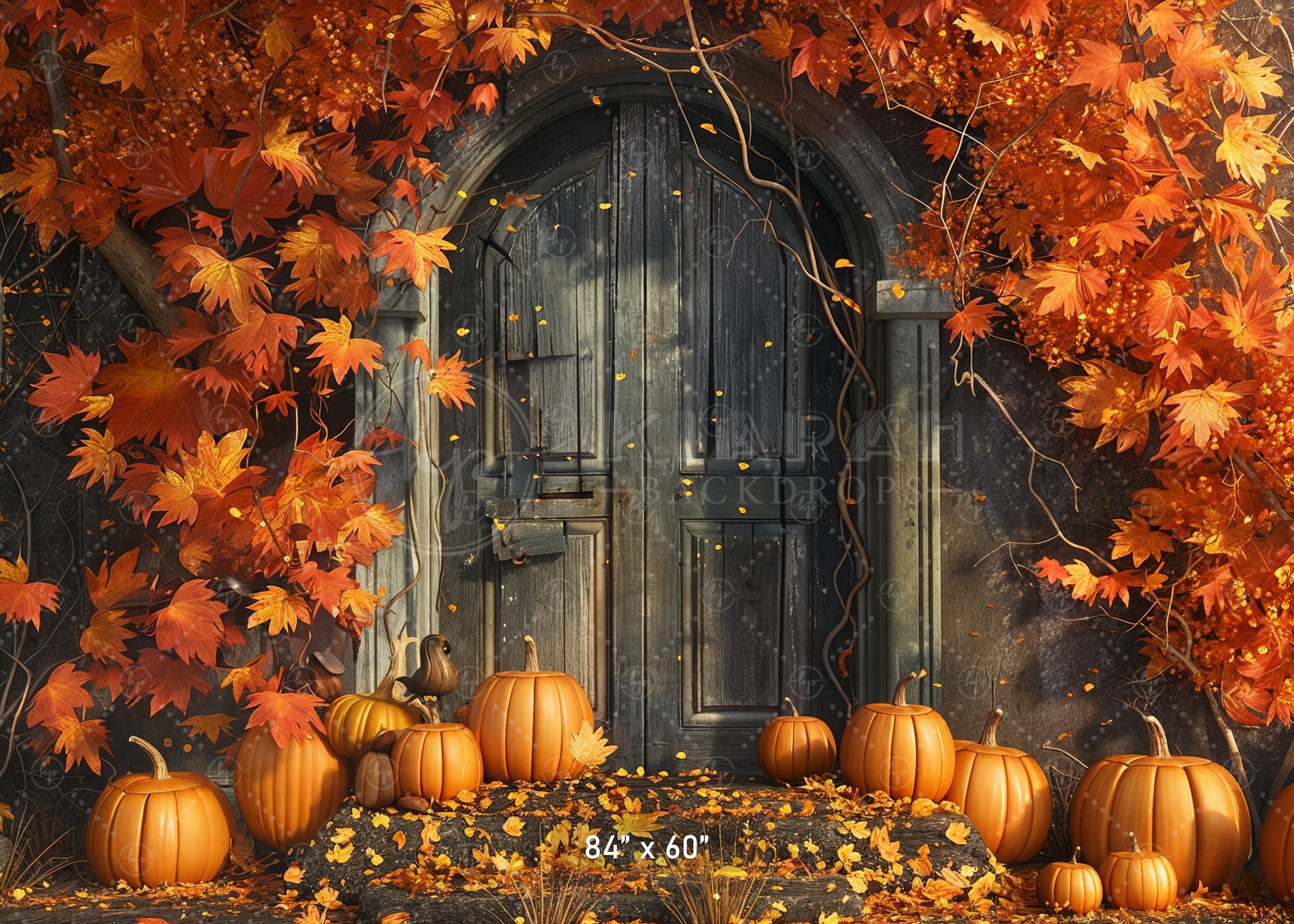 Haunted Autumn Door Bckdrop