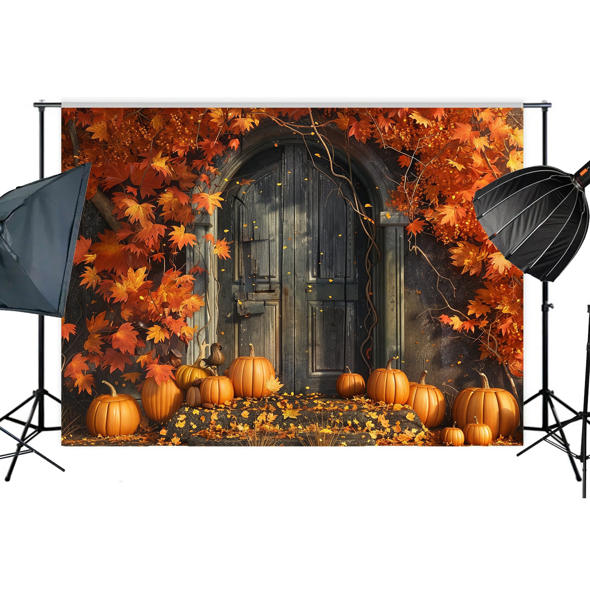 Haunted Autumn Door Bckdrop
