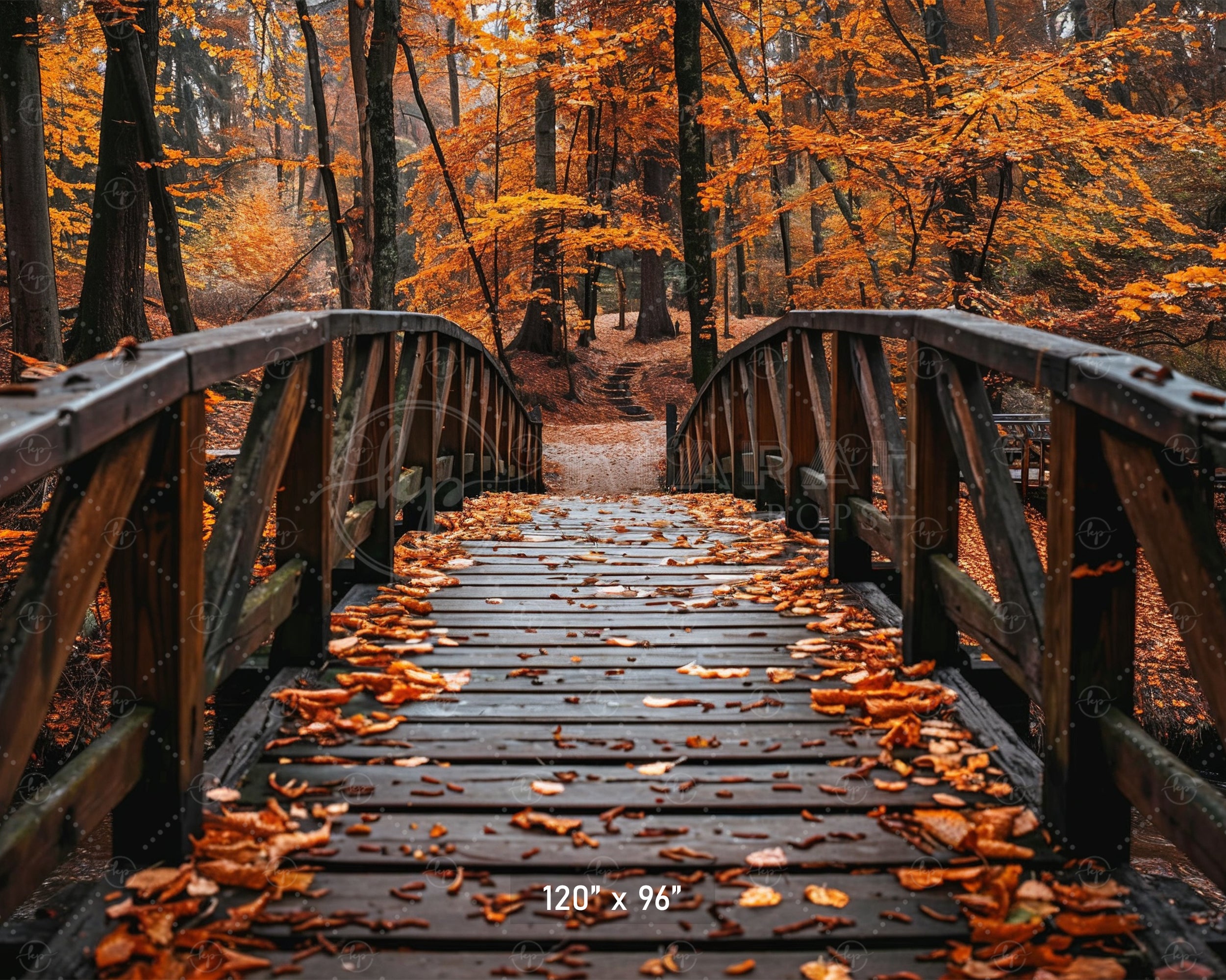 Autumn Forest Bridge Backdrop