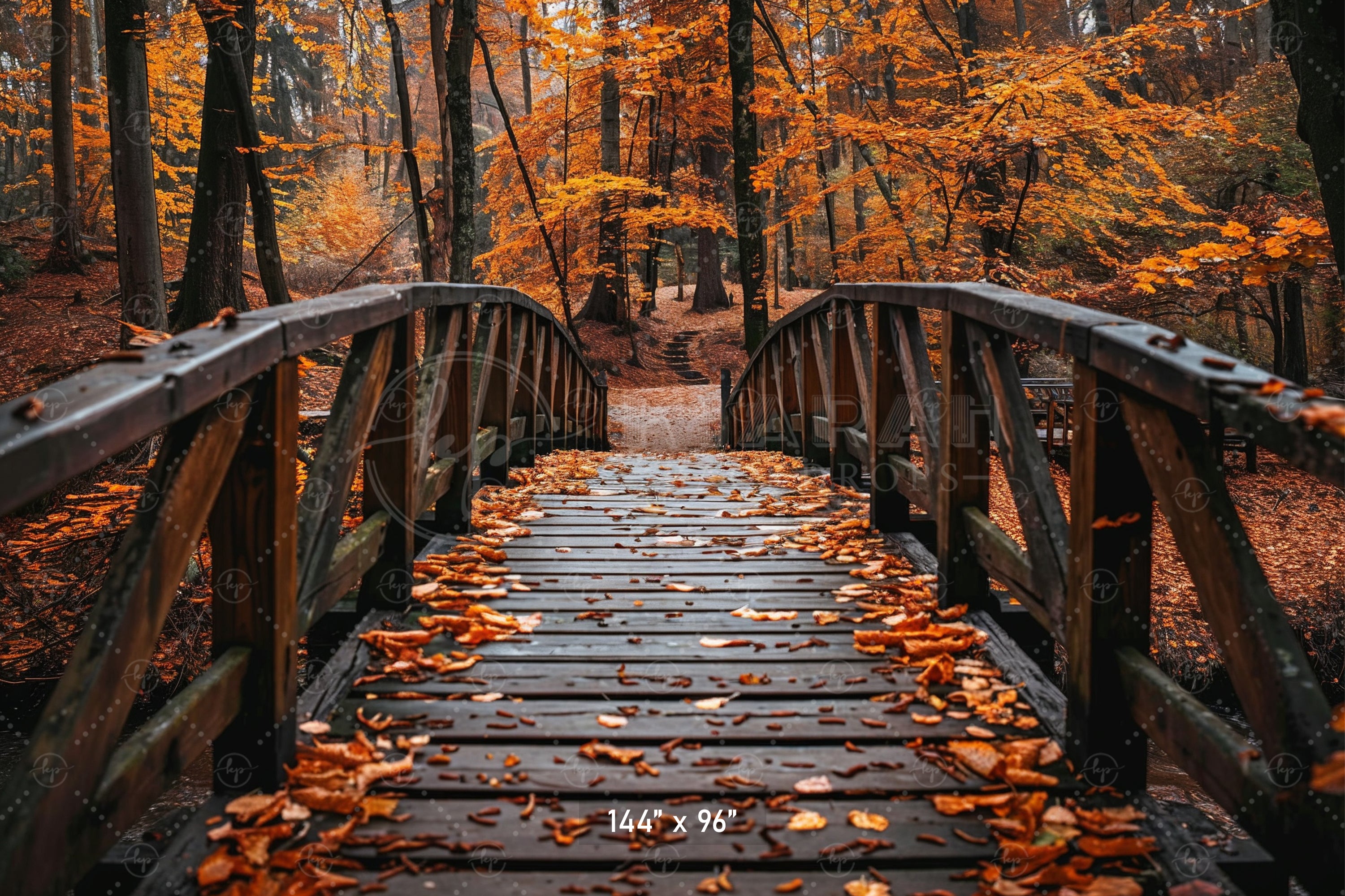 Autumn Forest Bridge Backdrop