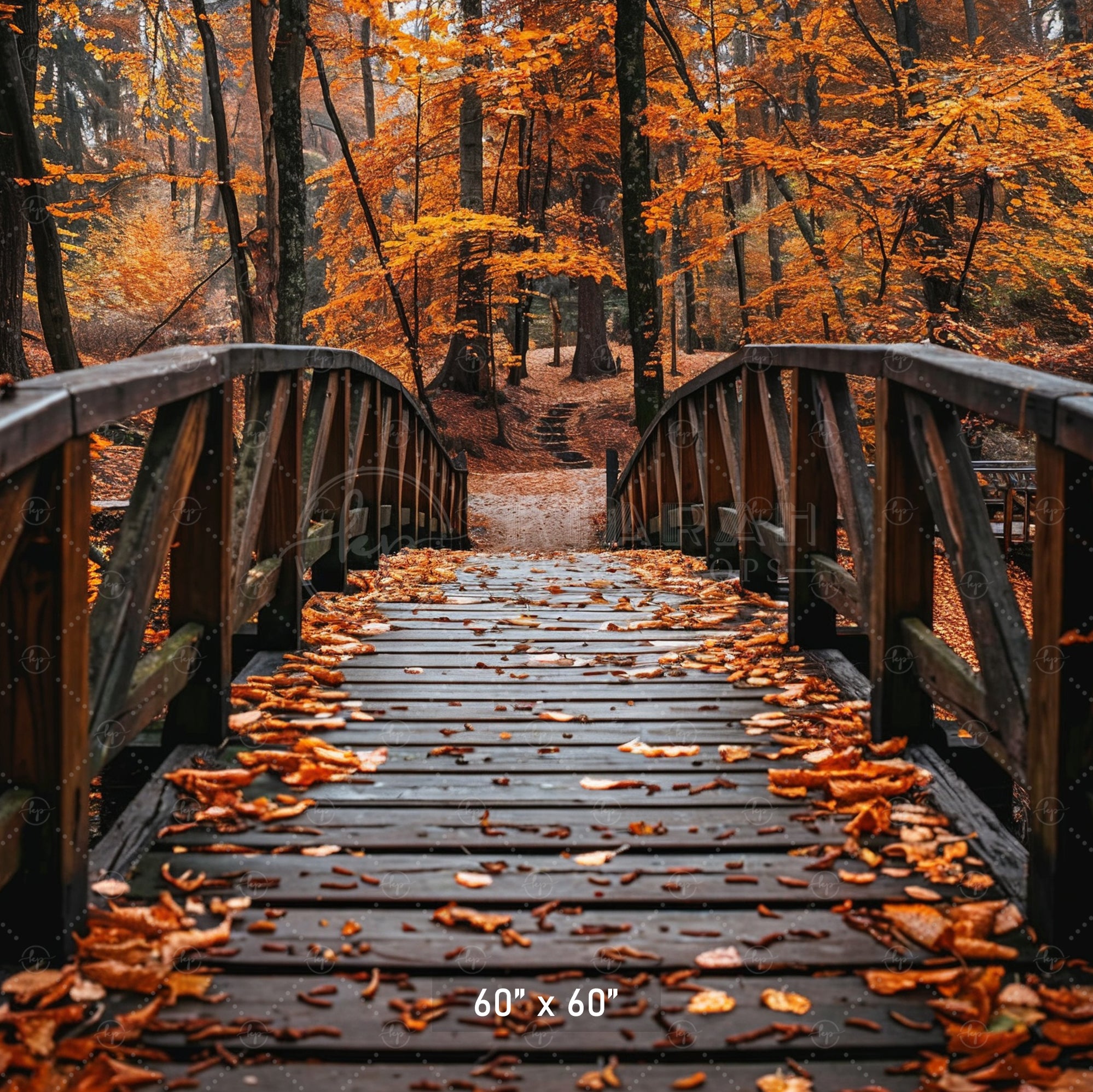 Autumn Forest Bridge Backdrop