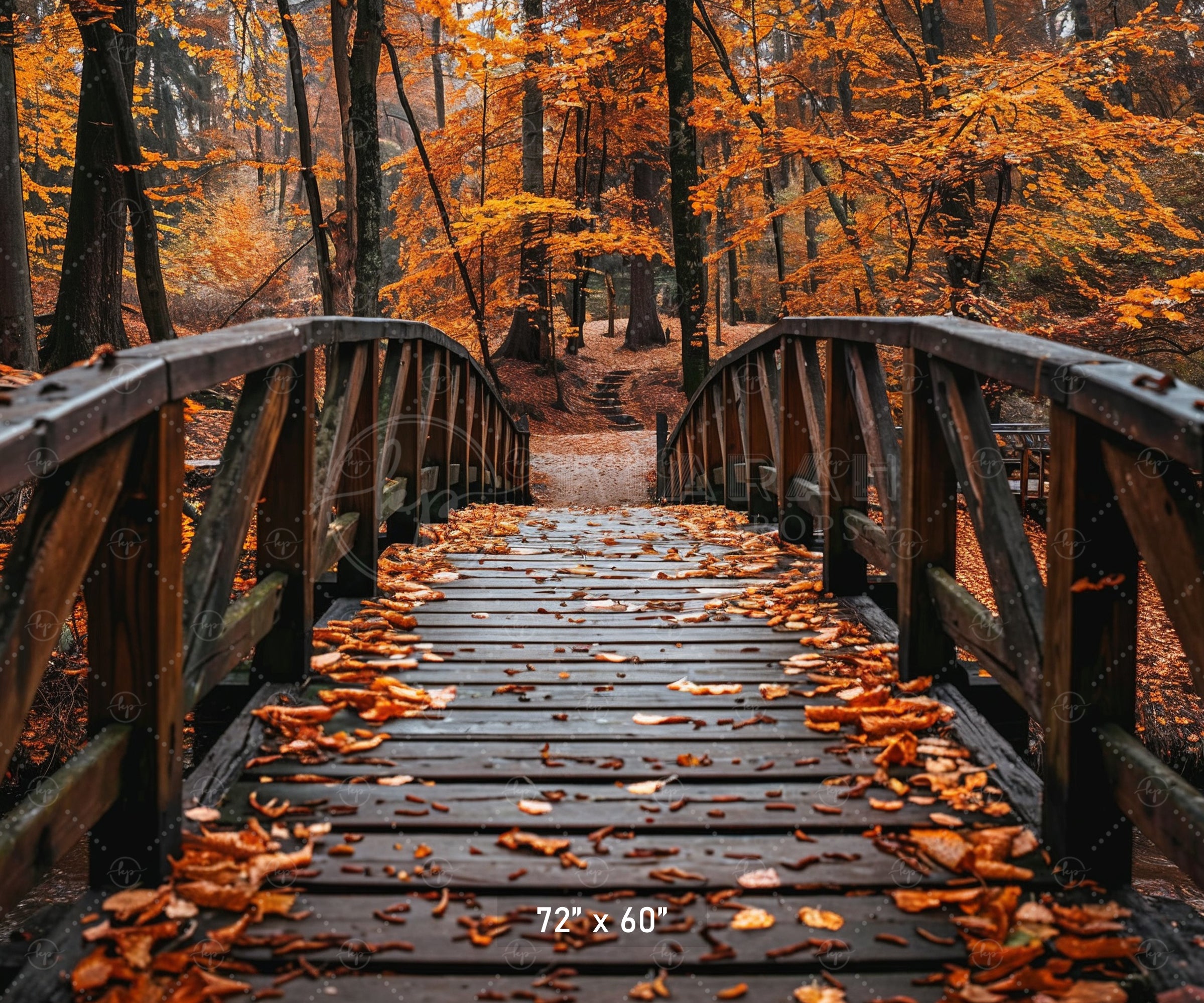 Autumn Forest Bridge Backdrop