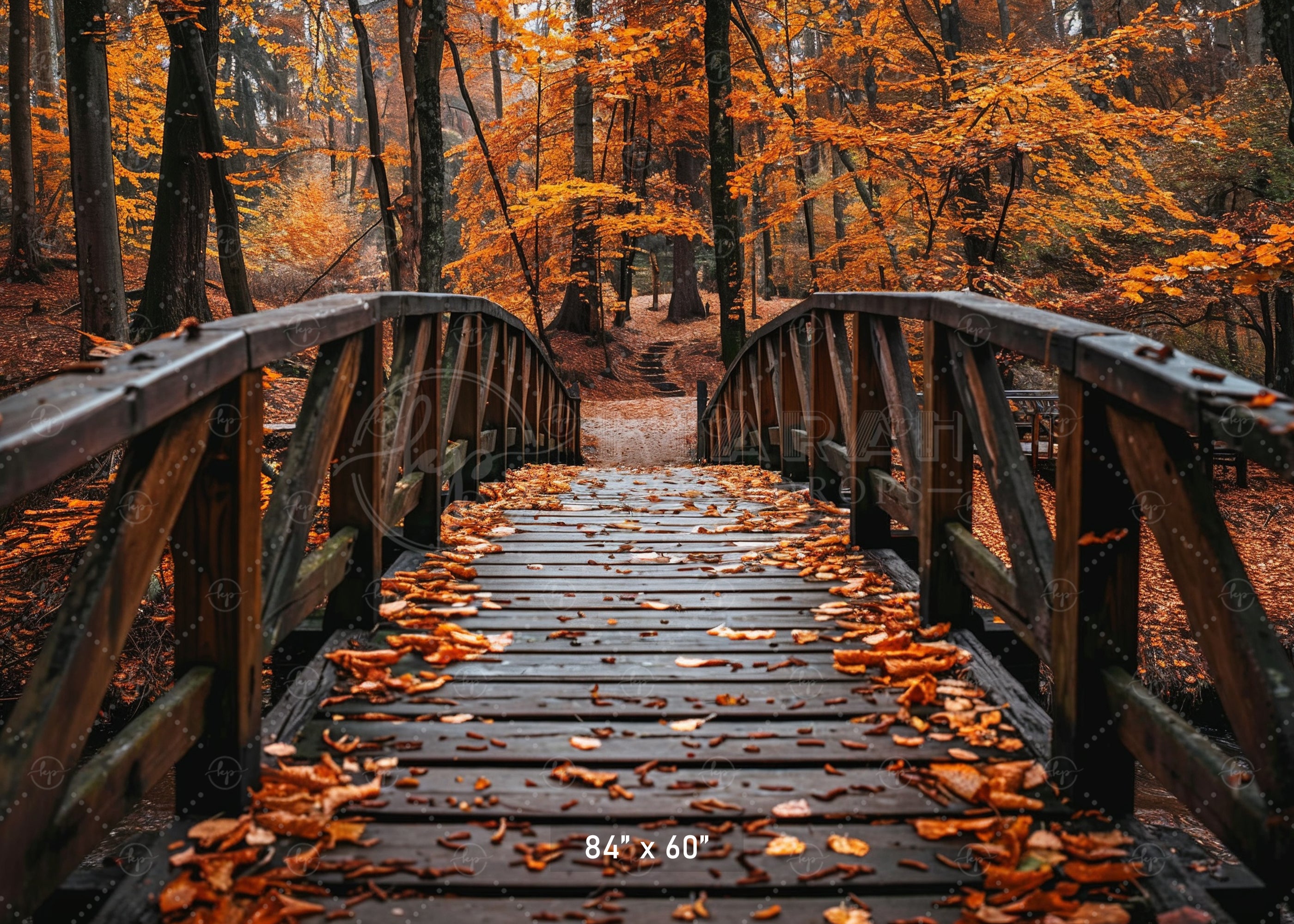 Autumn Forest Bridge Backdrop