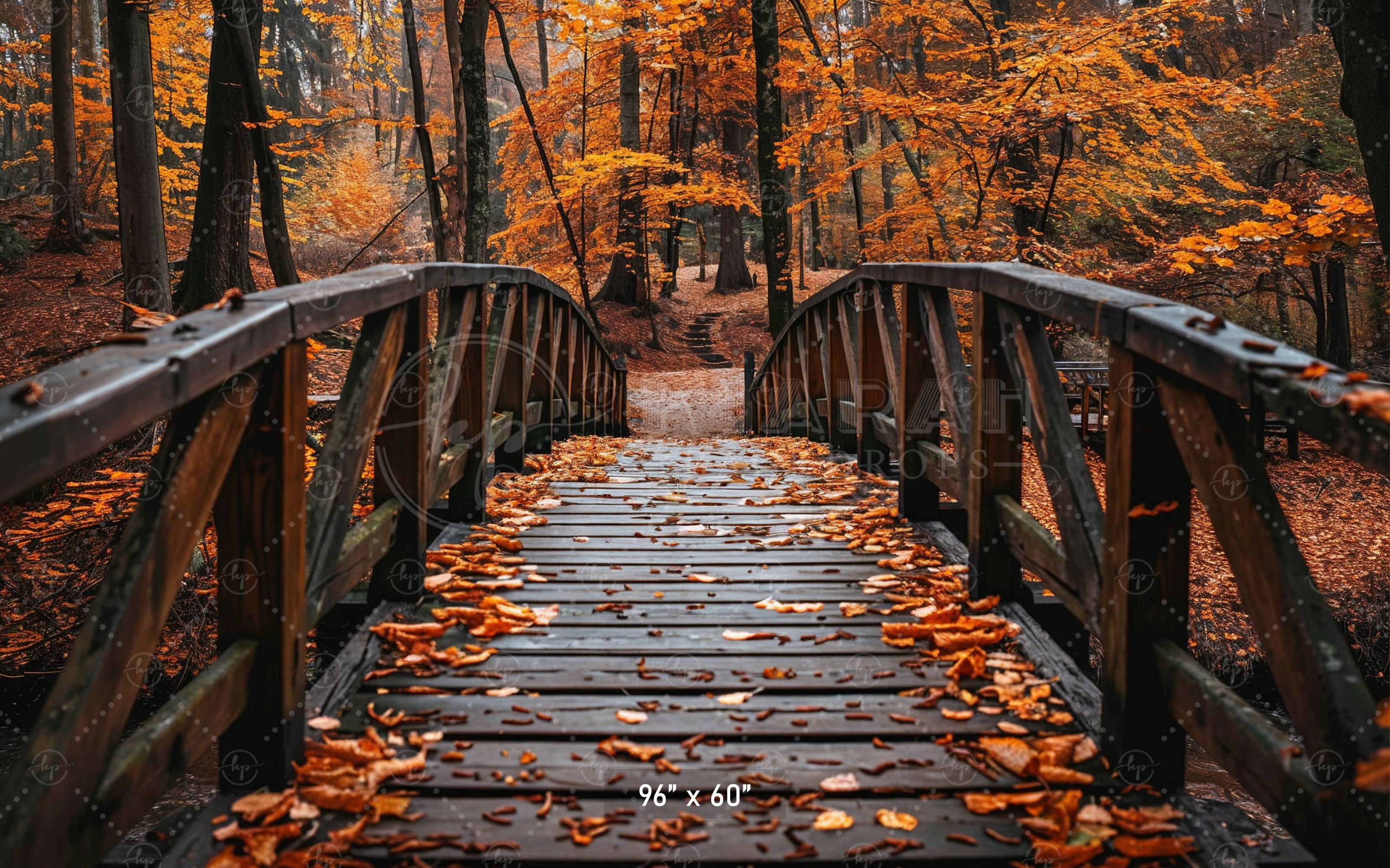 Autumn Forest Bridge Backdrop