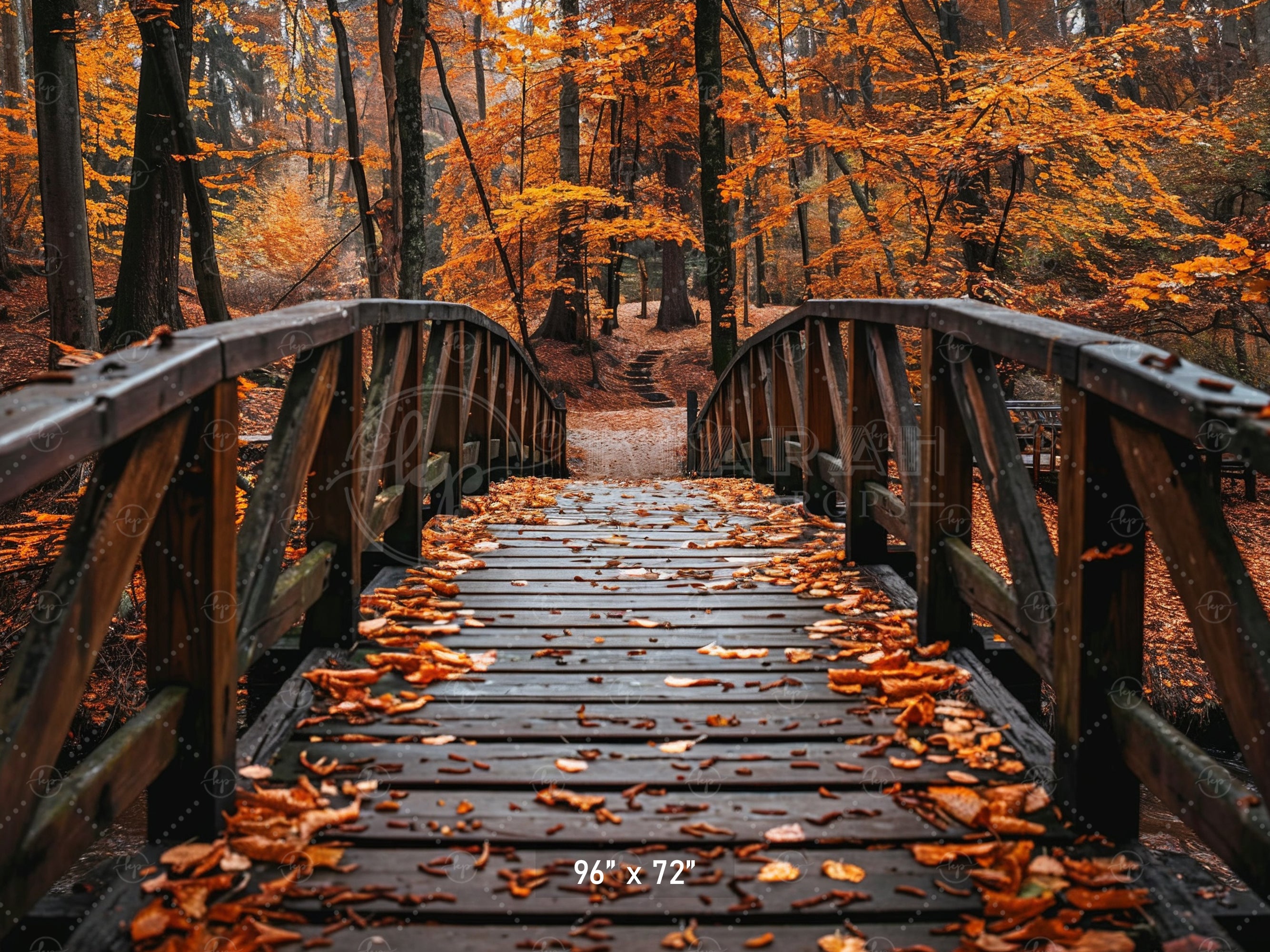 Autumn Forest Bridge Backdrop