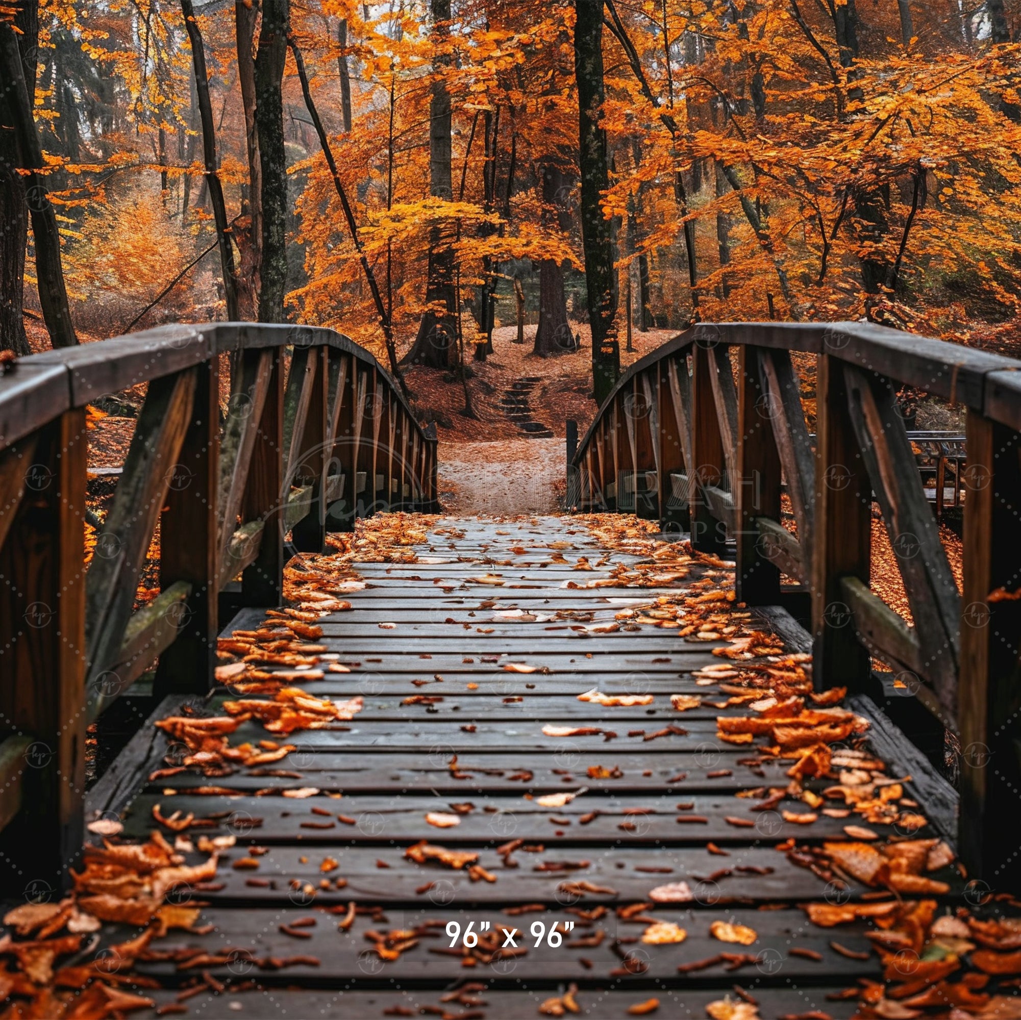 Autumn Forest Bridge Backdrop