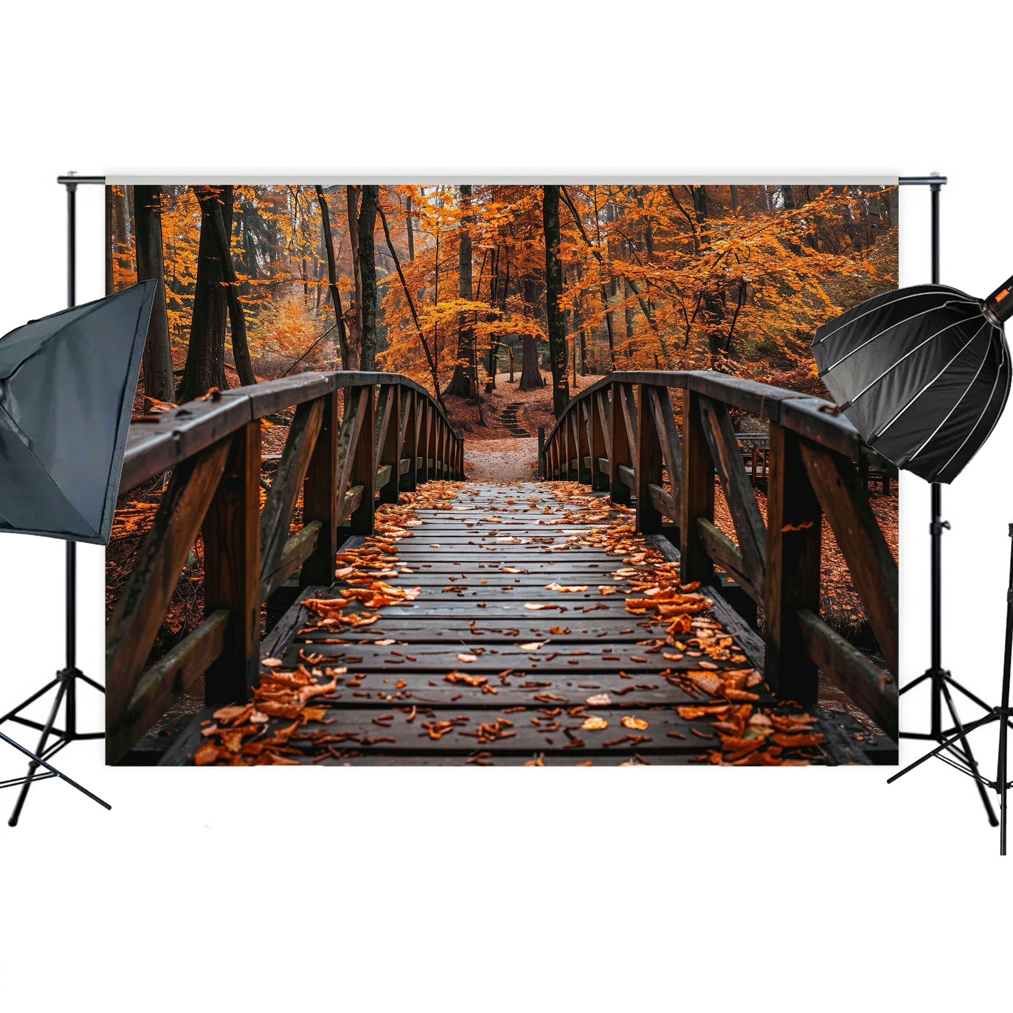 Autumn Forest Bridge Backdrop