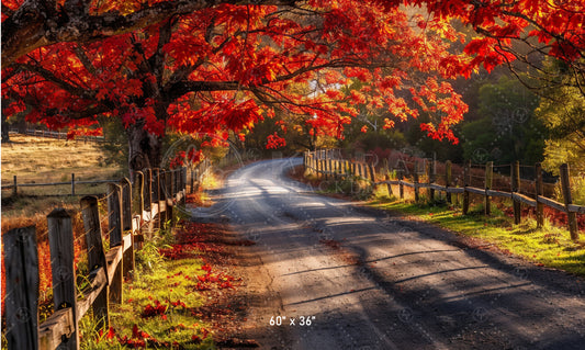 Autumn Country Road Backdrop