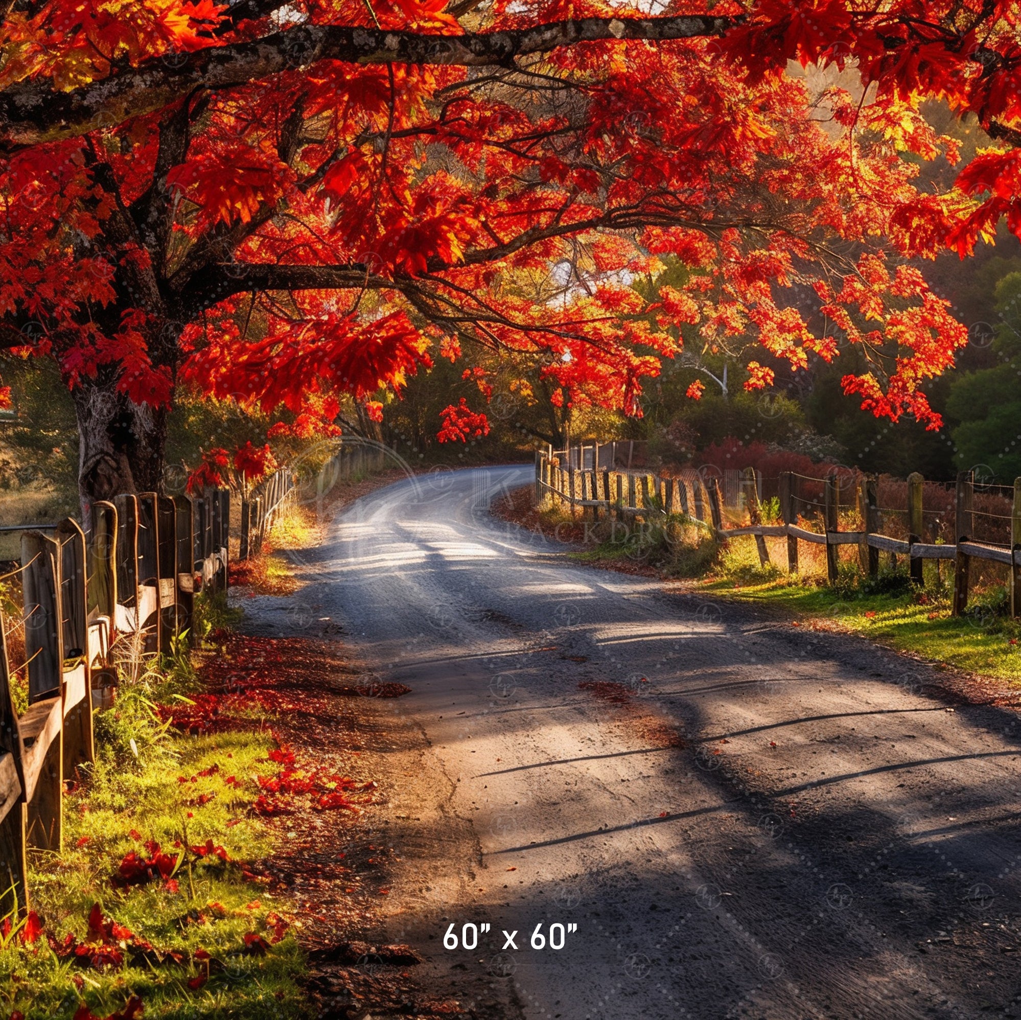 Autumn Country Road Backdrop