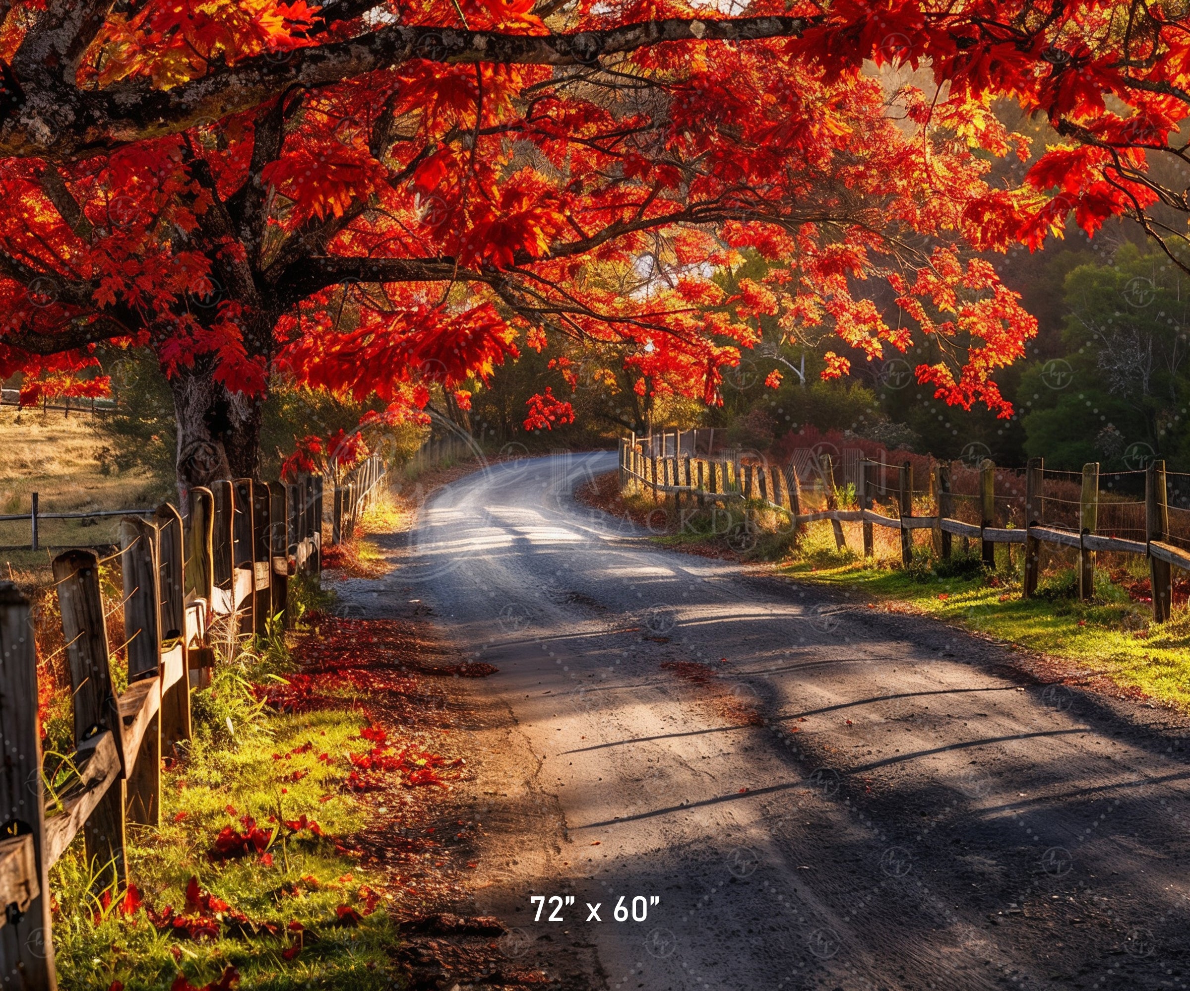 Autumn Country Road Backdrop