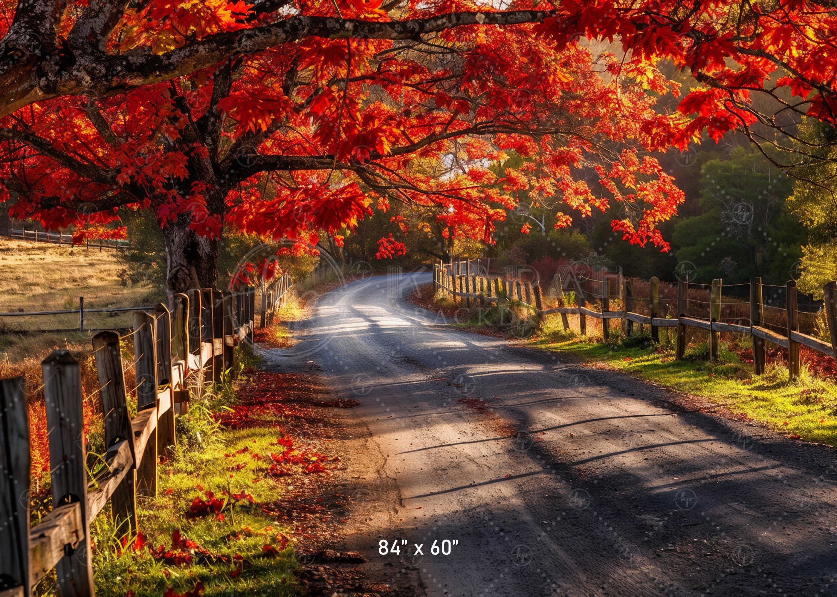 Autumn Country Road Backdrop
