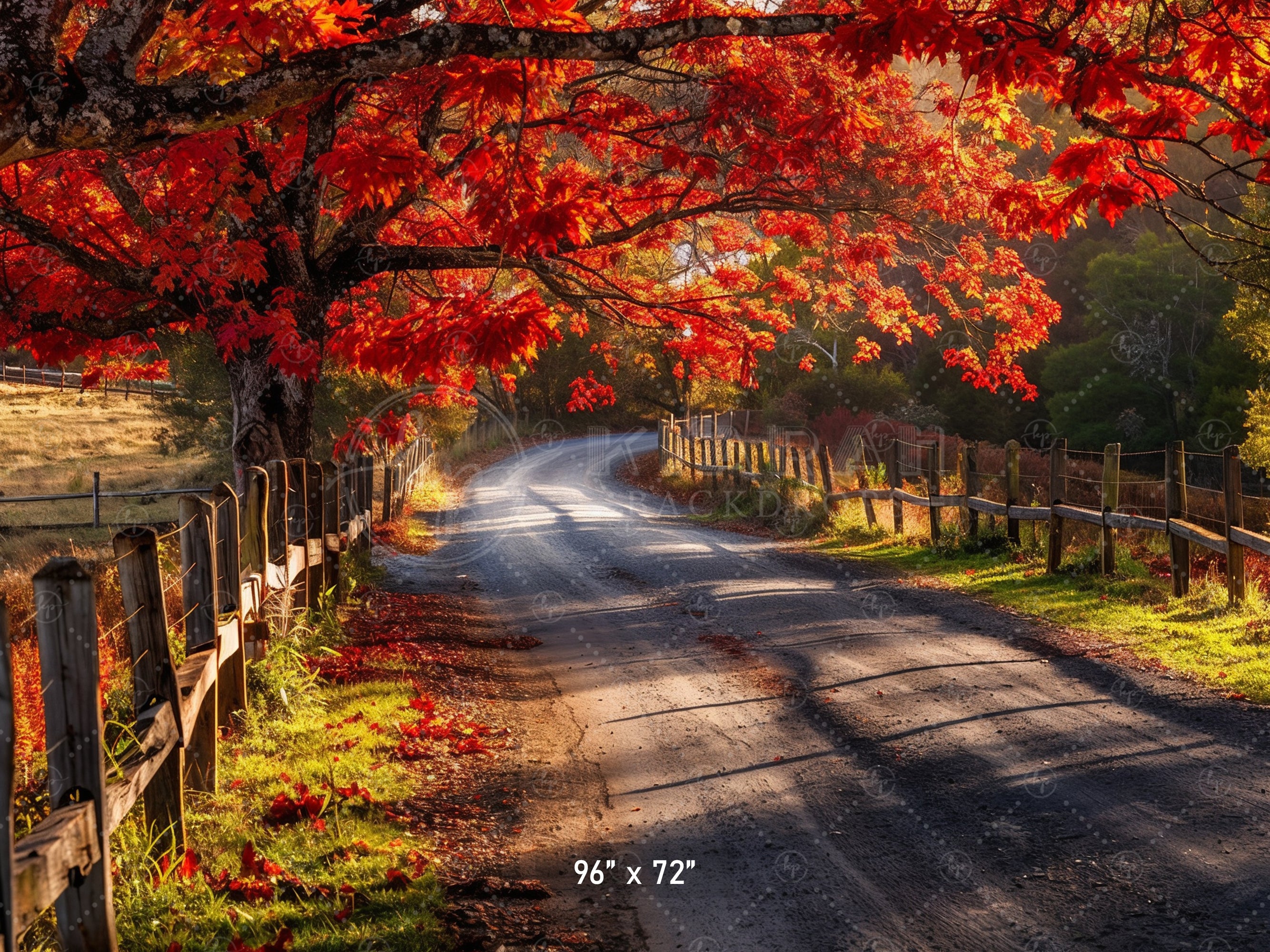 Autumn Country Road Backdrop
