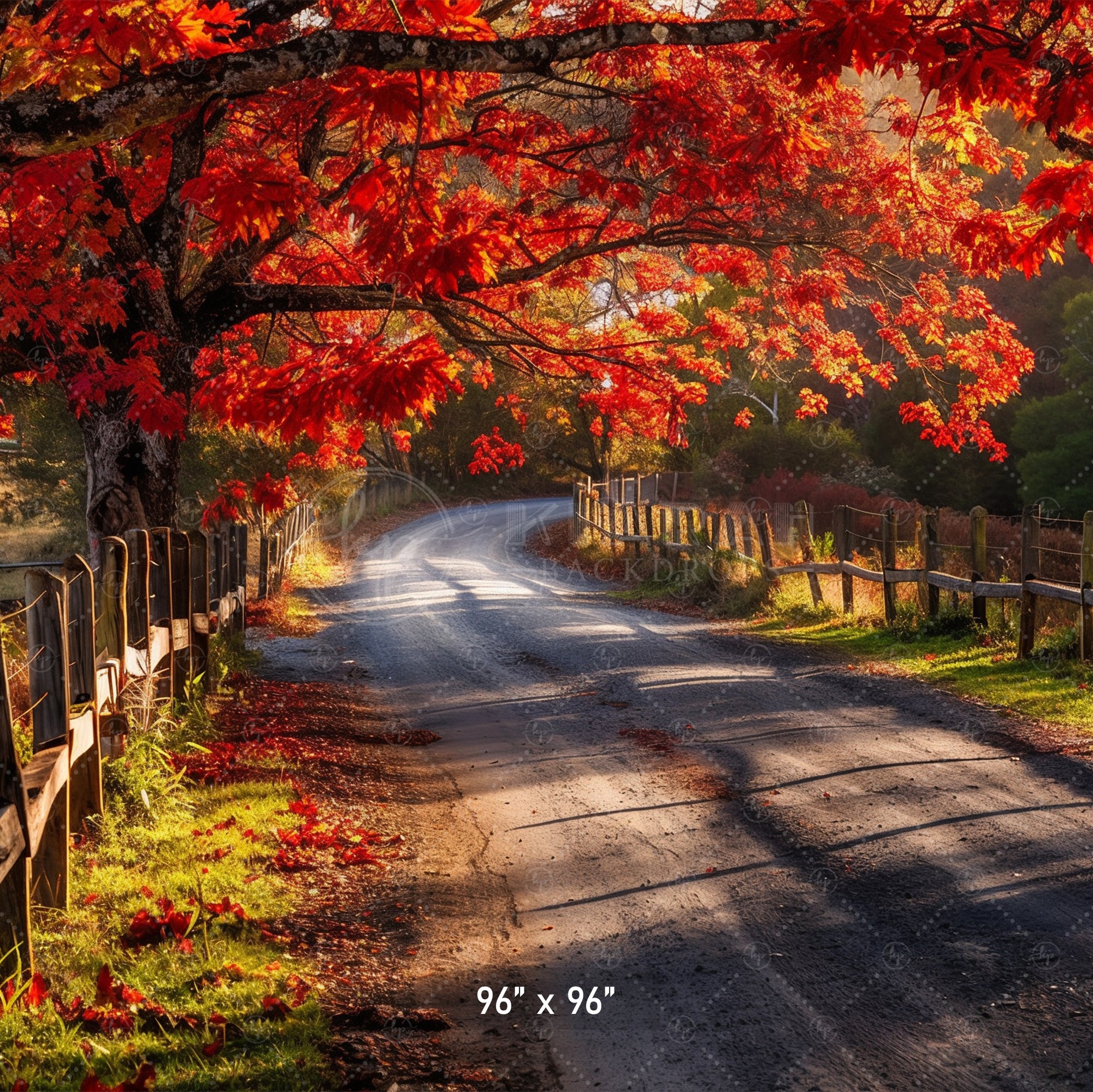 Autumn Country Road Backdrop