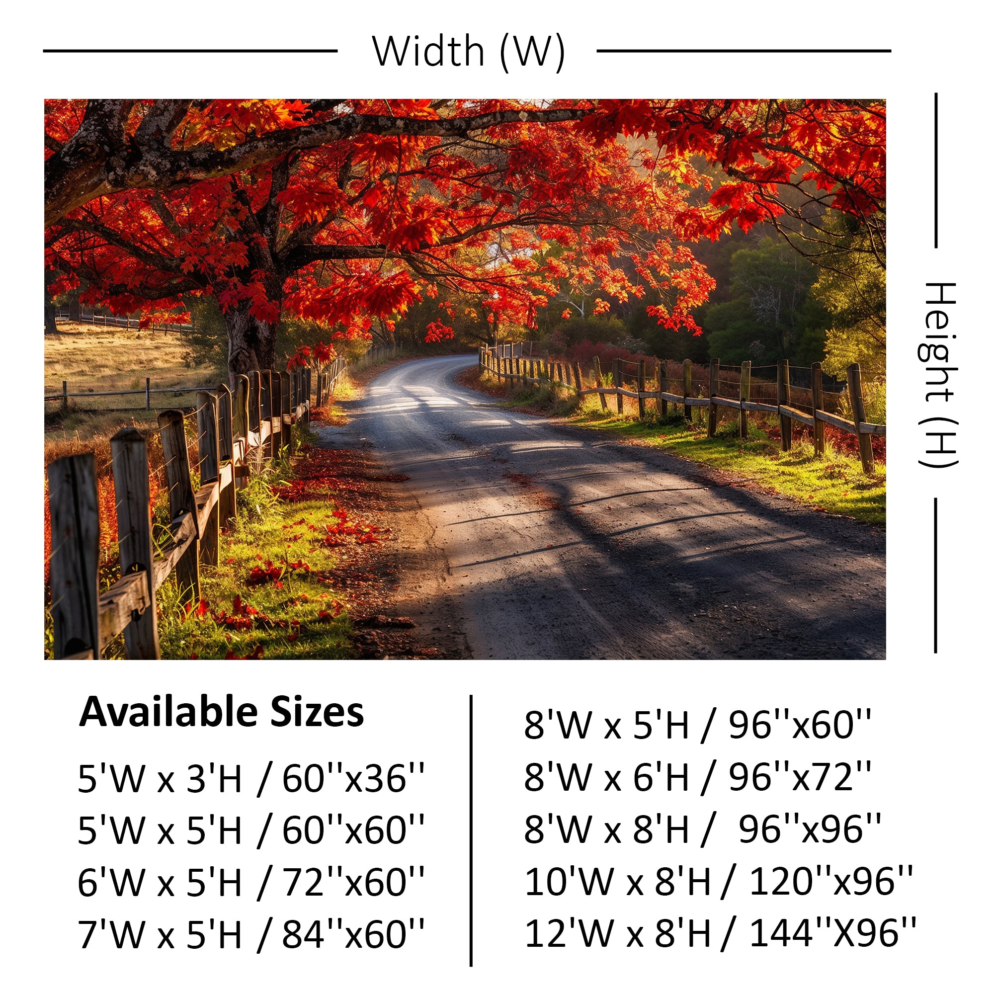 Autumn Country Road Backdrop