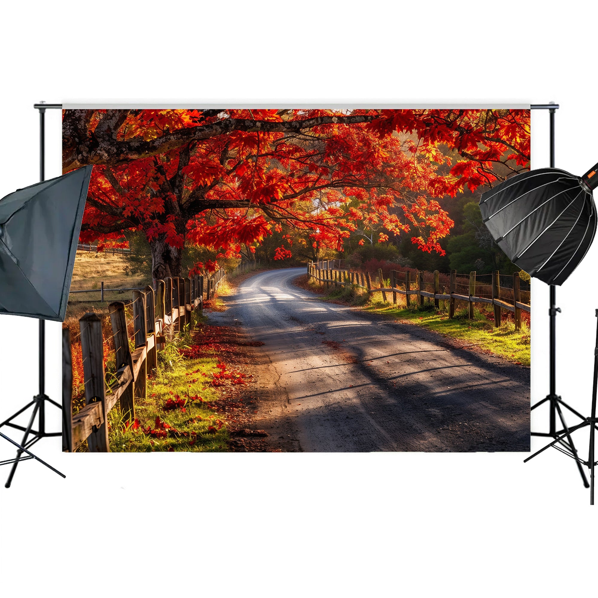 Autumn Country Road Backdrop