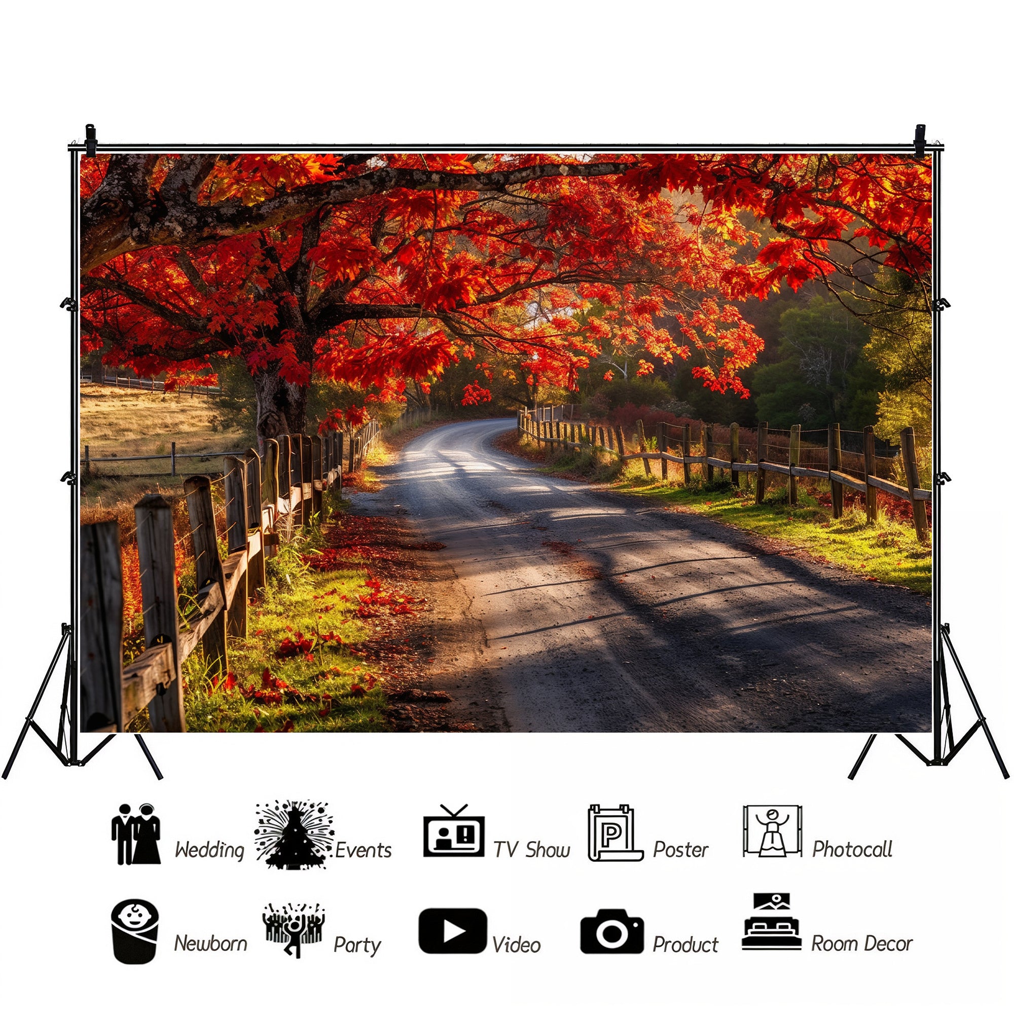 Autumn Country Road Backdrop