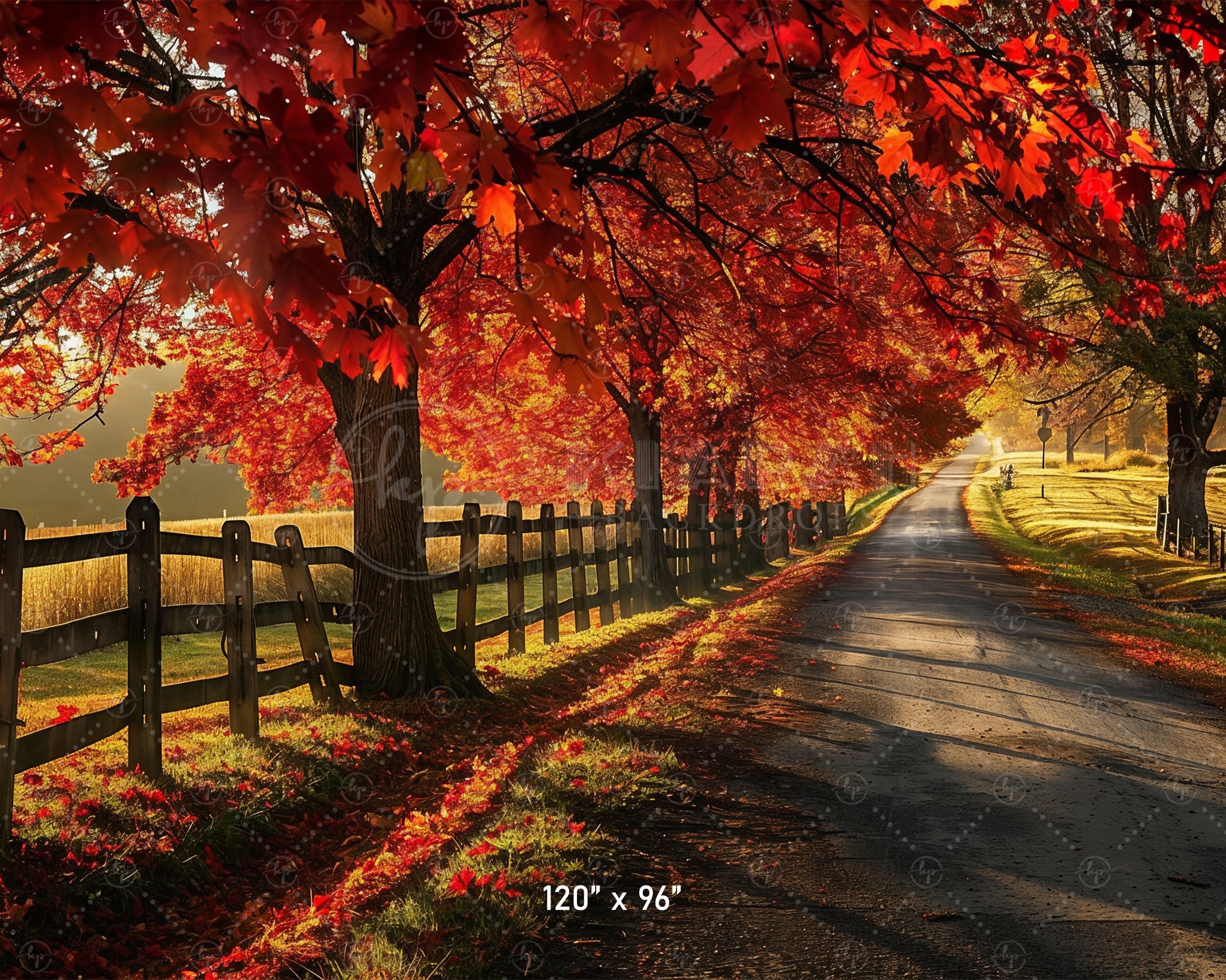 Golden Autumn Road Backdrop