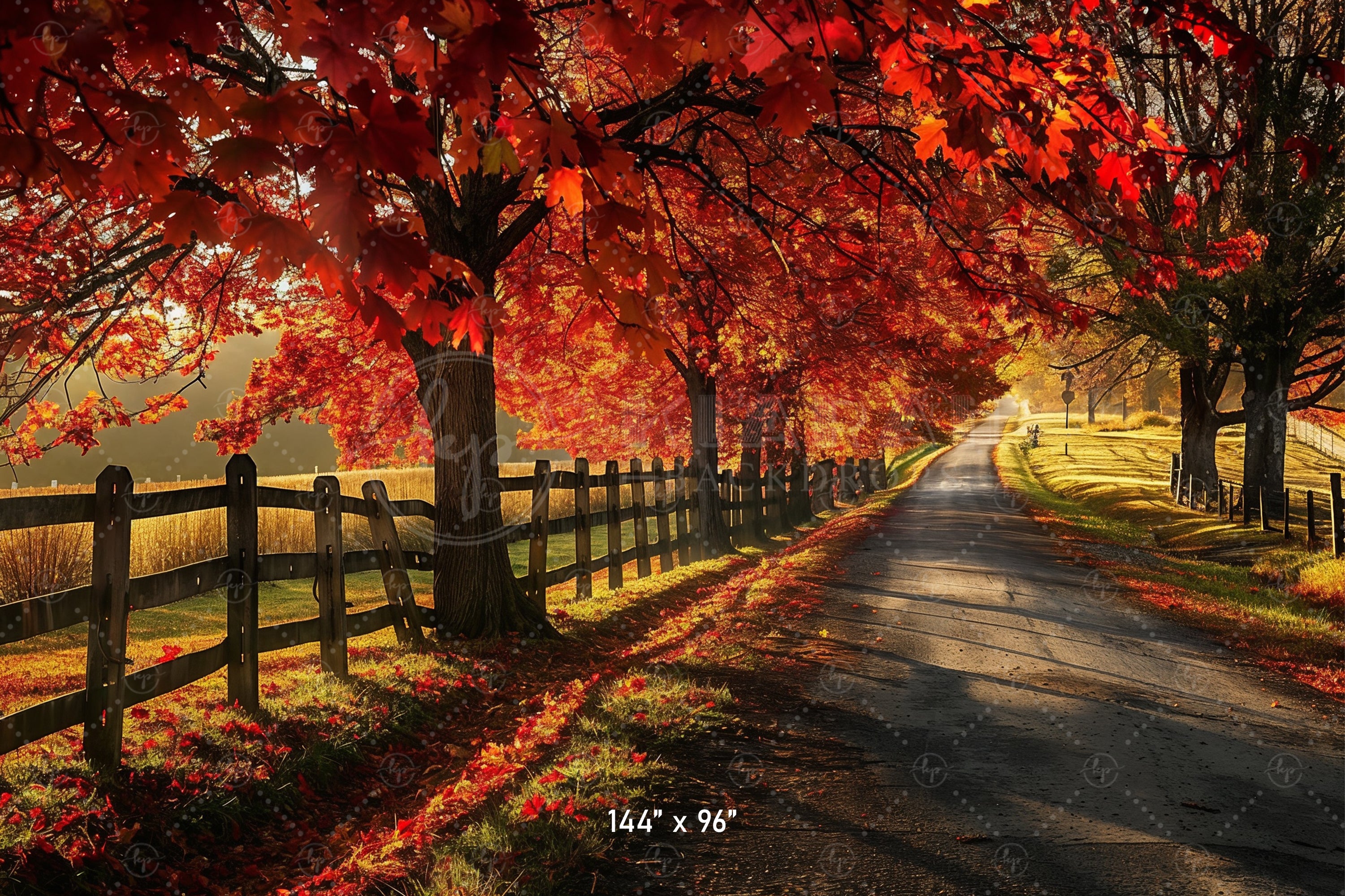 Golden Autumn Road Backdrop