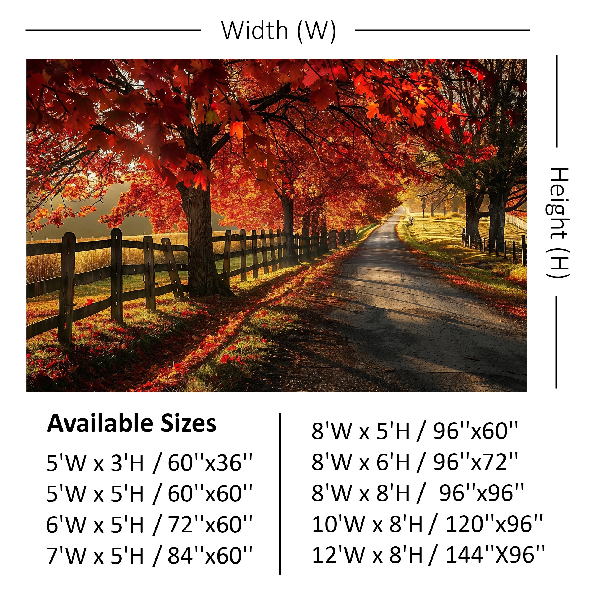 Golden Autumn Road Backdrop