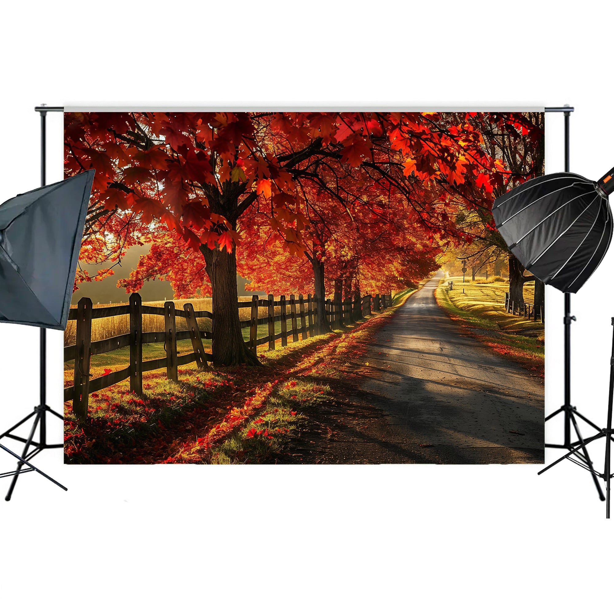 Golden Autumn Road Backdrop