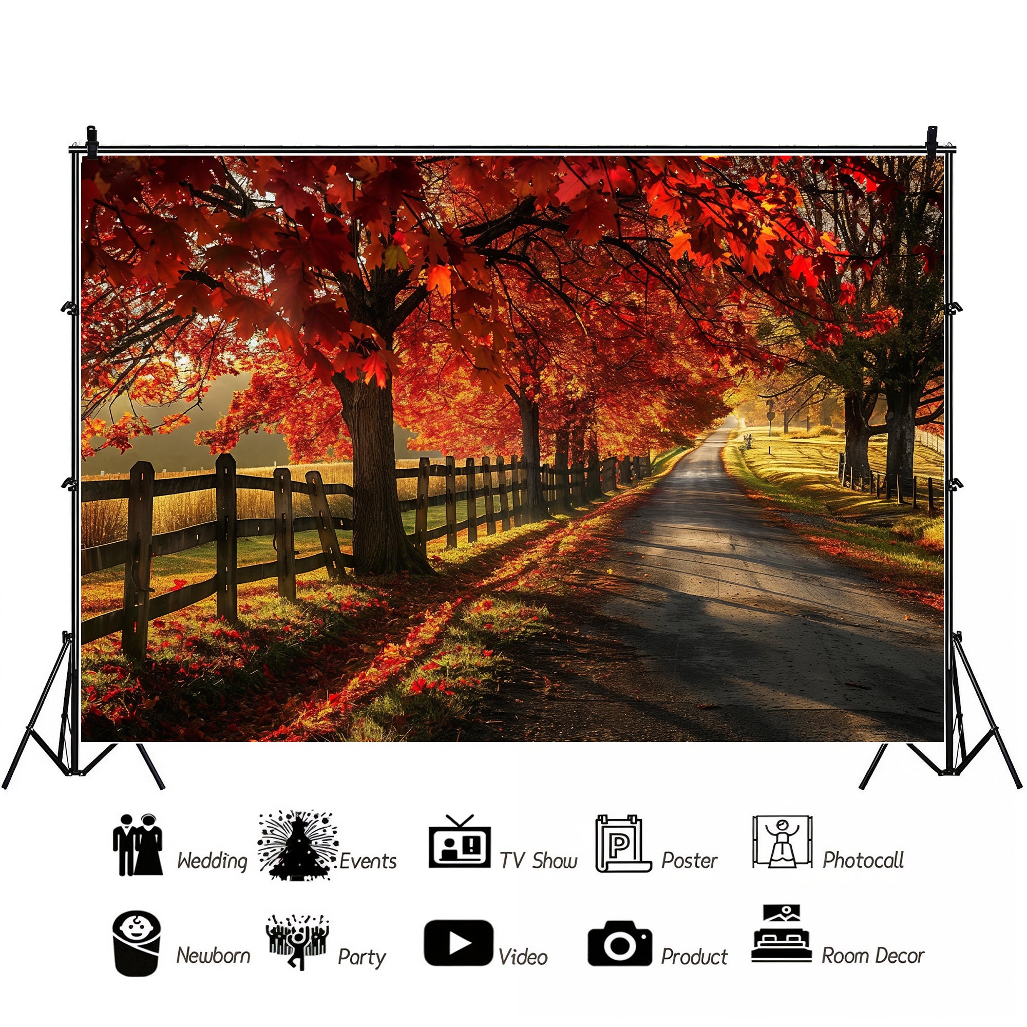 Golden Autumn Road Backdrop