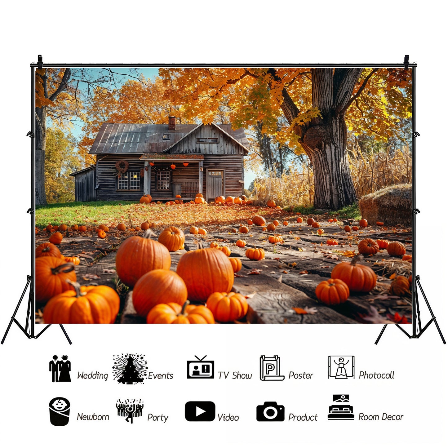 Pumpkin Farmhouse Backdrop