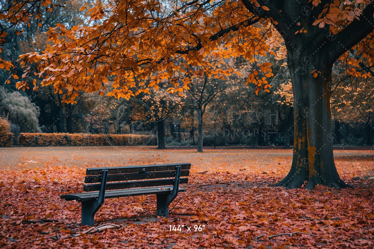 Autumn Park Bench Backdrop