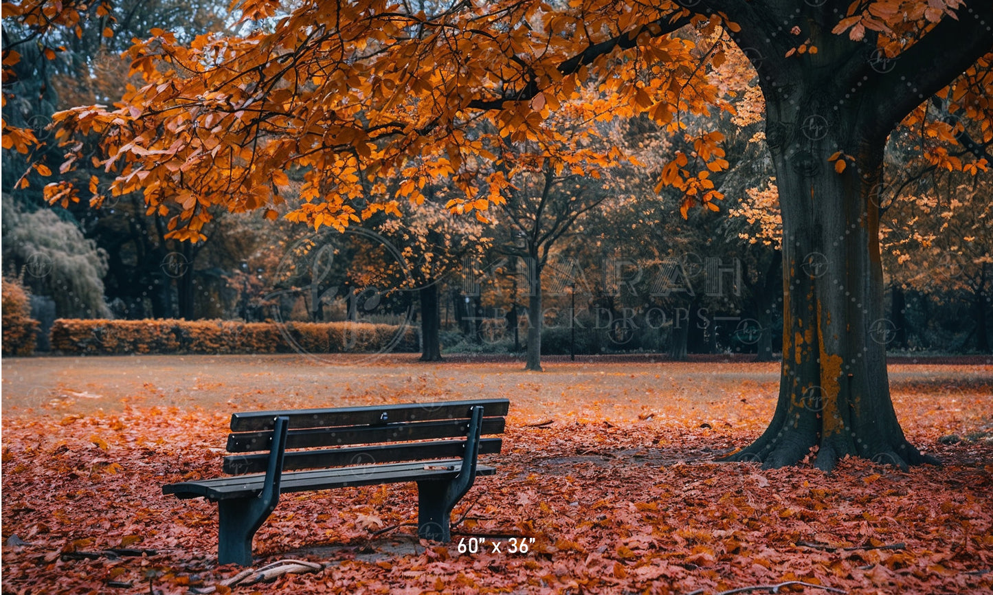 Autumn Park Bench Backdrop