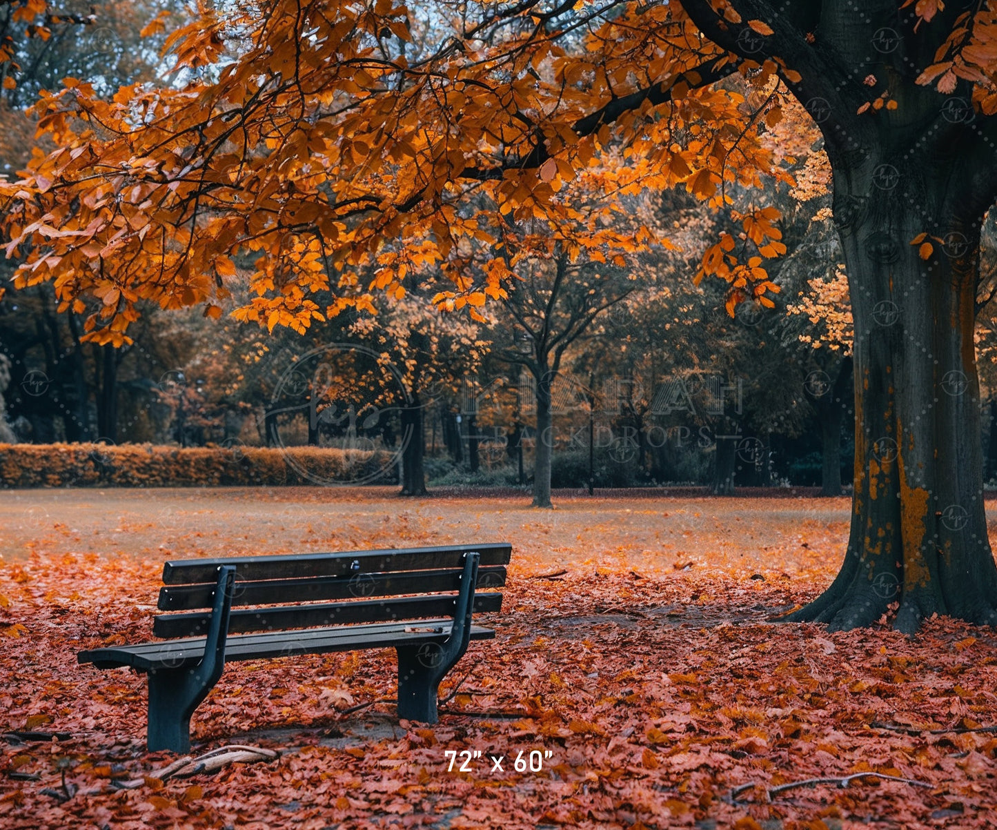 Autumn Park Bench Backdrop