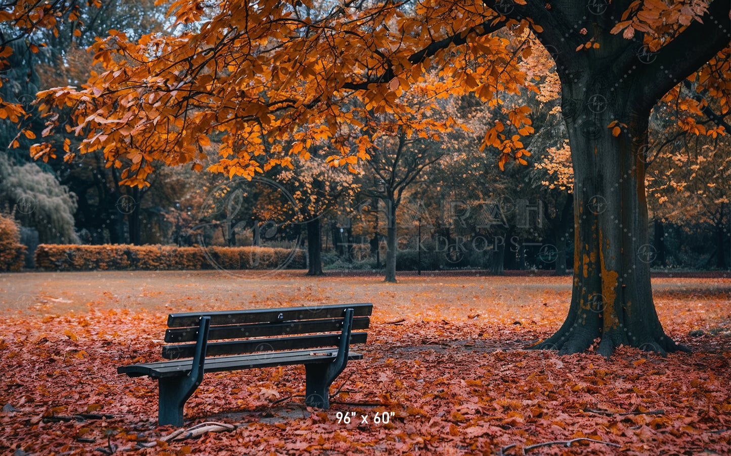 Autumn Park Bench Backdrop