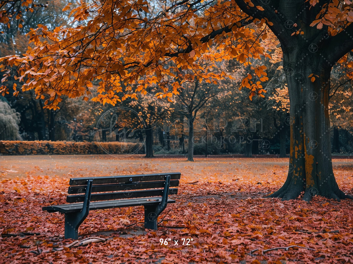 Autumn Park Bench Backdrop