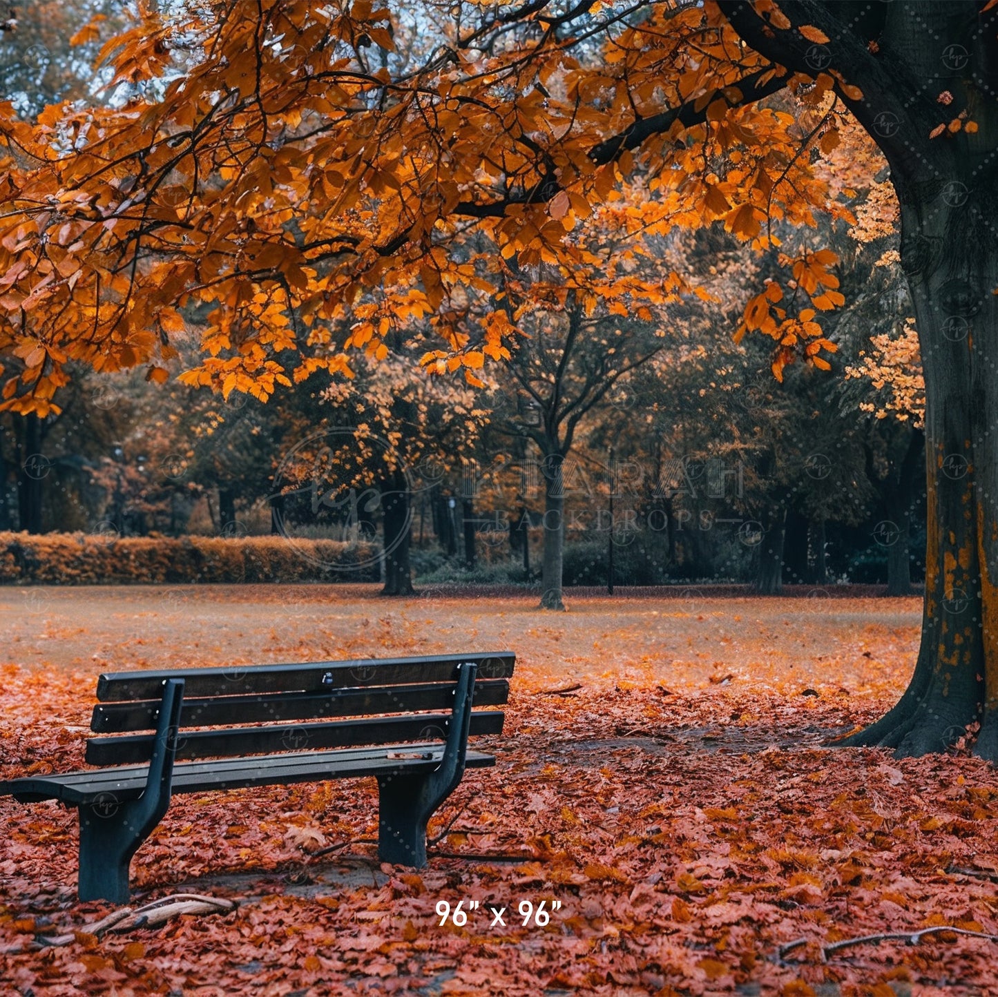 Autumn Park Bench Backdrop