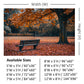 Autumn Park Bench Backdrop