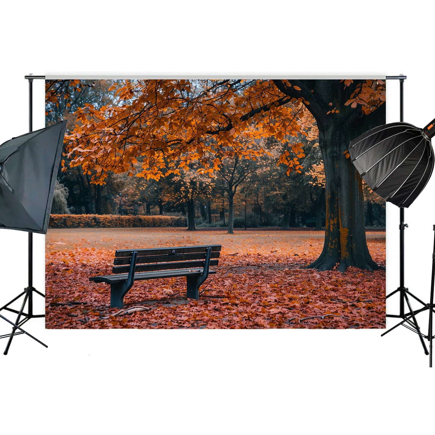 Autumn Park Bench Backdrop