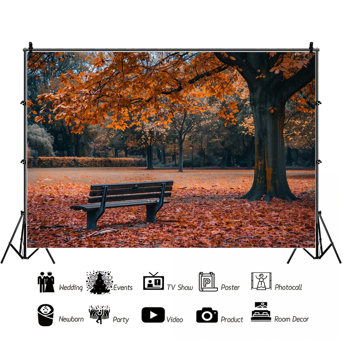 Autumn Park Bench Backdrop