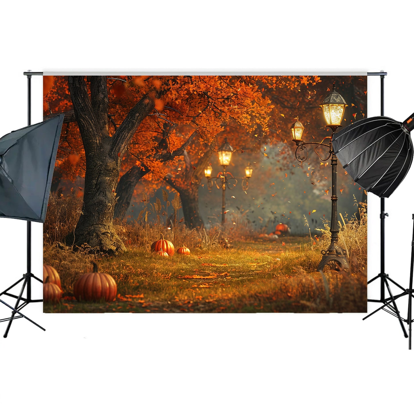 Enchanted Autumn Pathway Backdrop