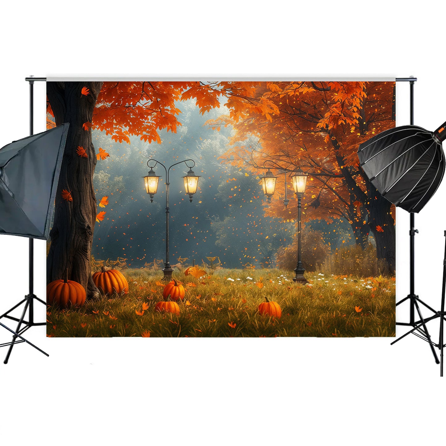 Autumn Glow Meadow Backdrop