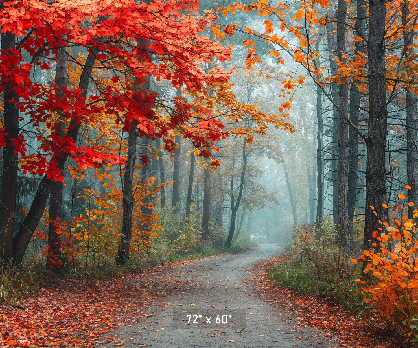 Misty Autumn Forest Path Backdrop