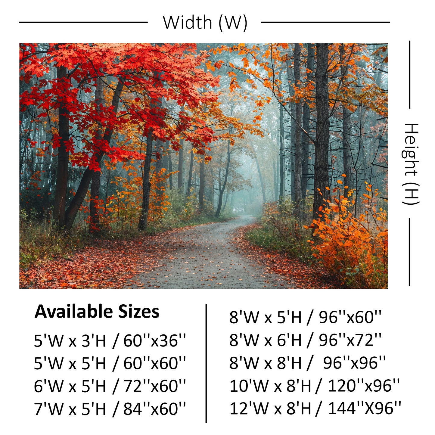 Misty Autumn Forest Path Backdrop