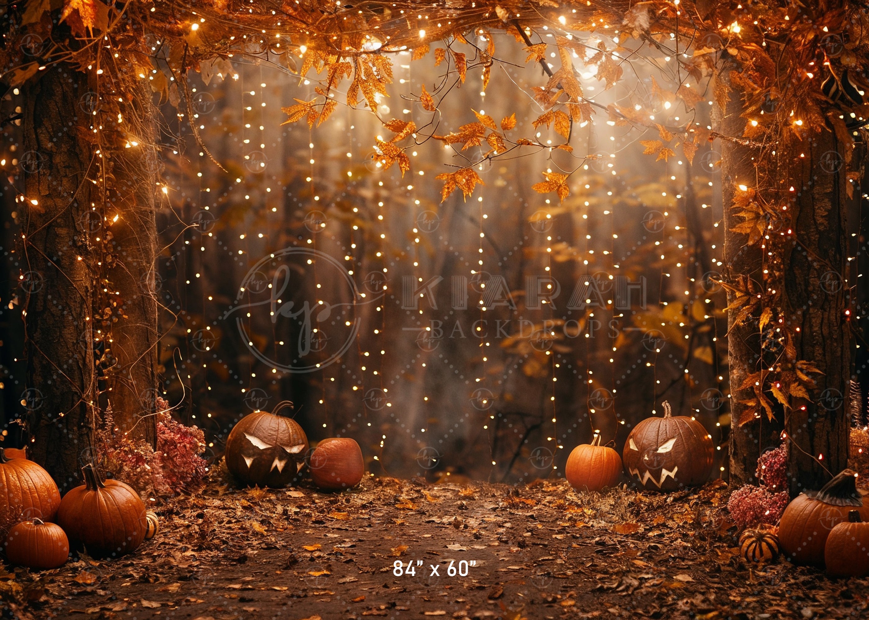 Spooky Autumn Lights Backdrop