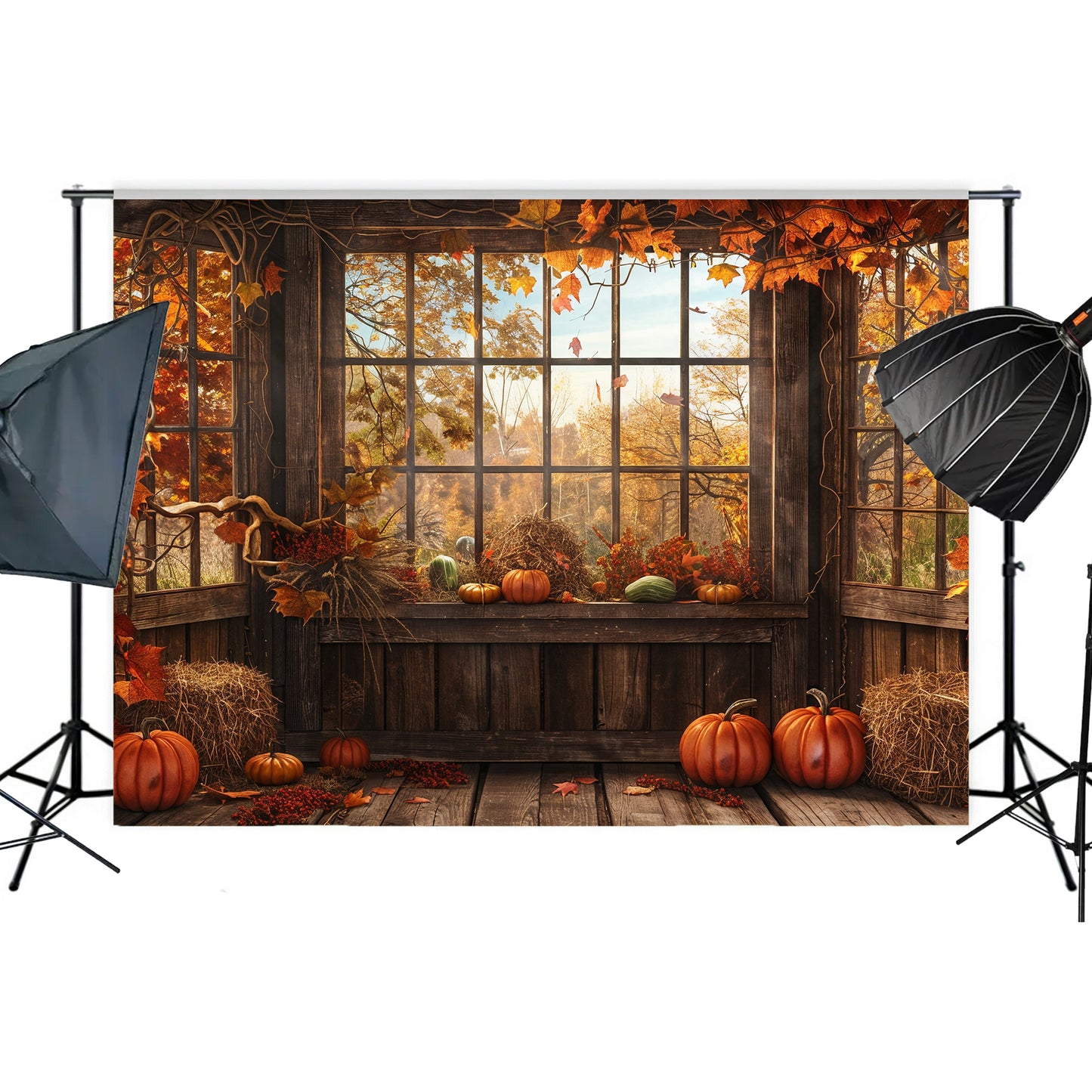 Enchanted Autumn Conservatory Backdrop