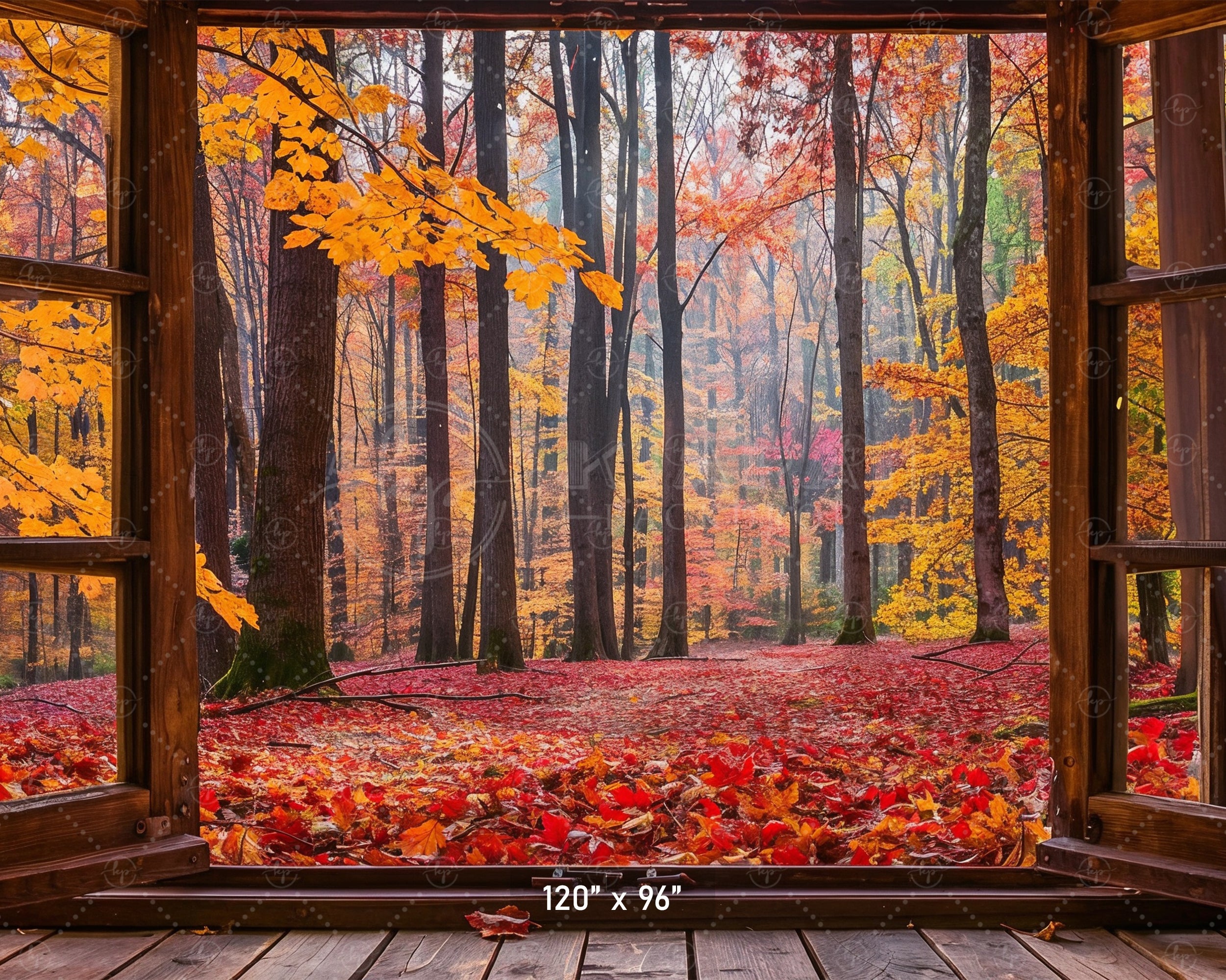 Vibrant Autumn Forest Window View Backdrop