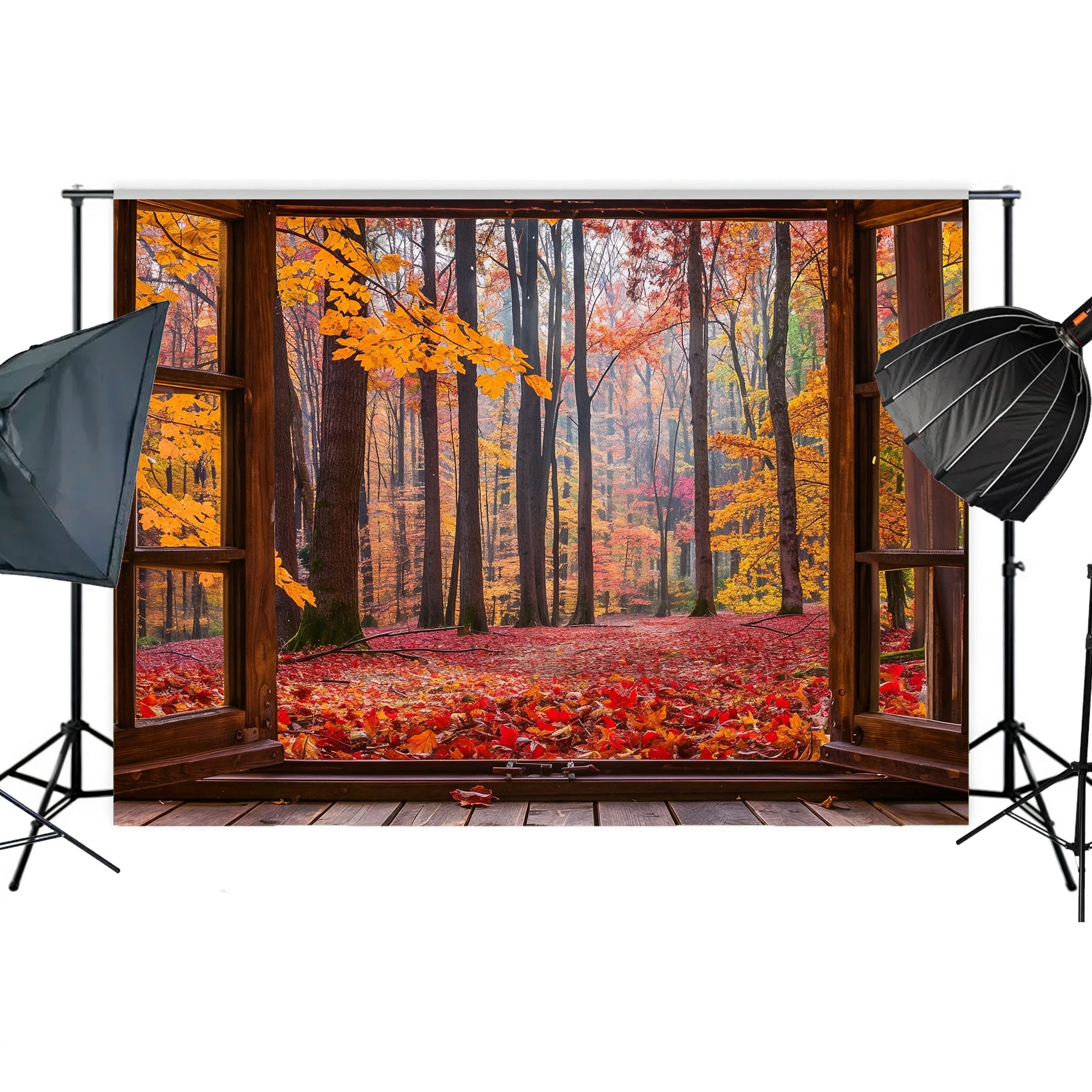 Vibrant Autumn Forest Window View Backdrop