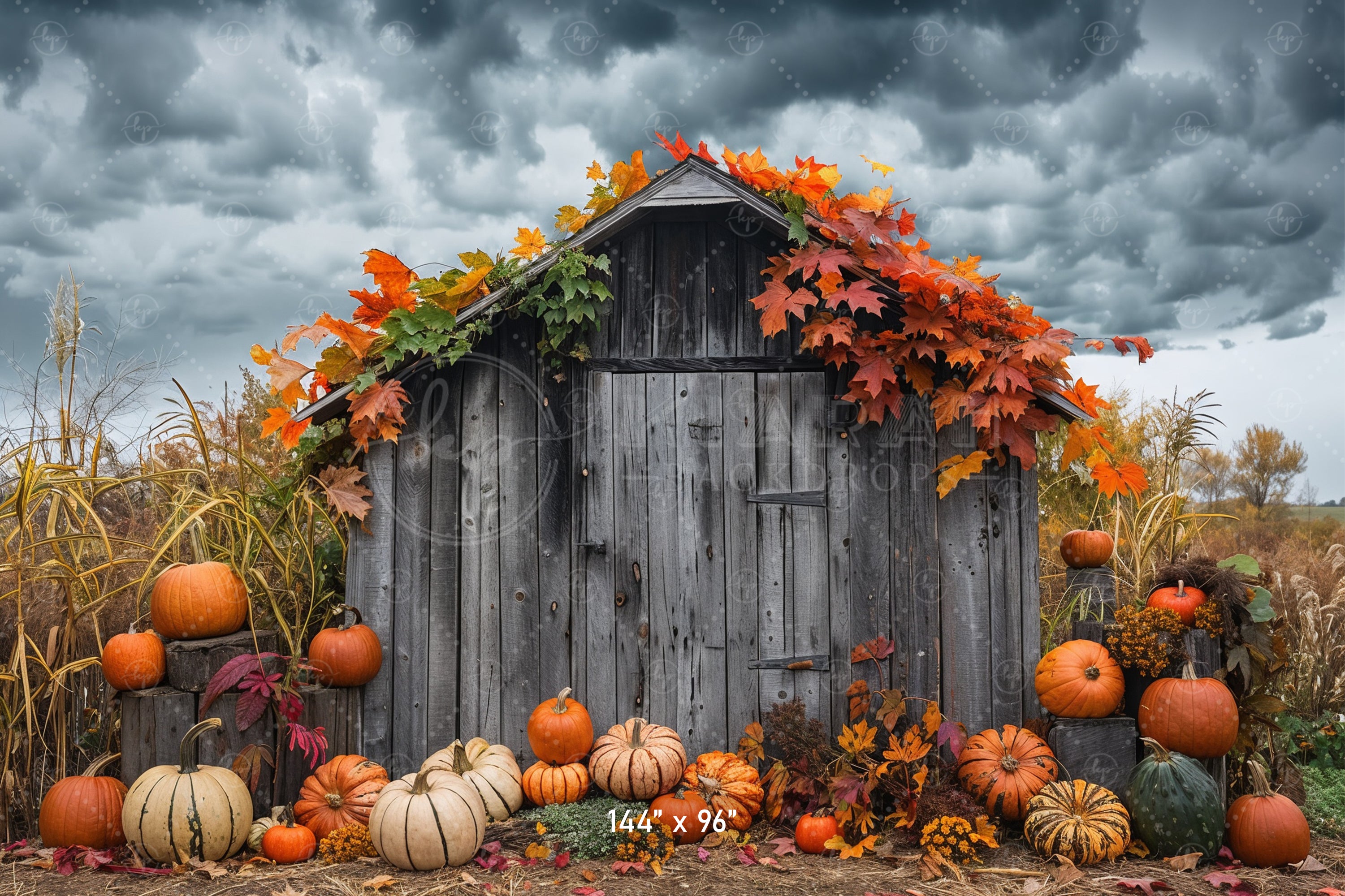 Rustic Autumn Shed with Pumpkins Backdrop