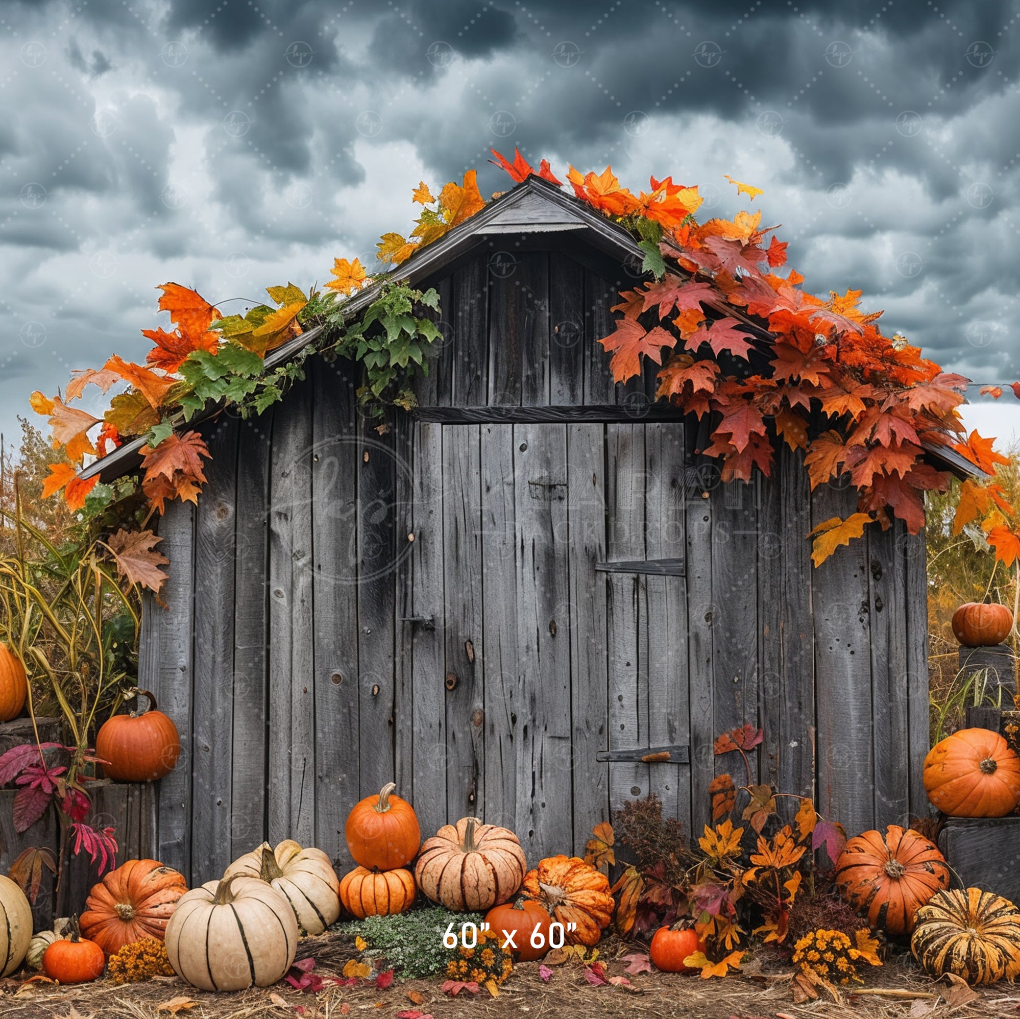Rustic Autumn Shed with Pumpkins Backdrop