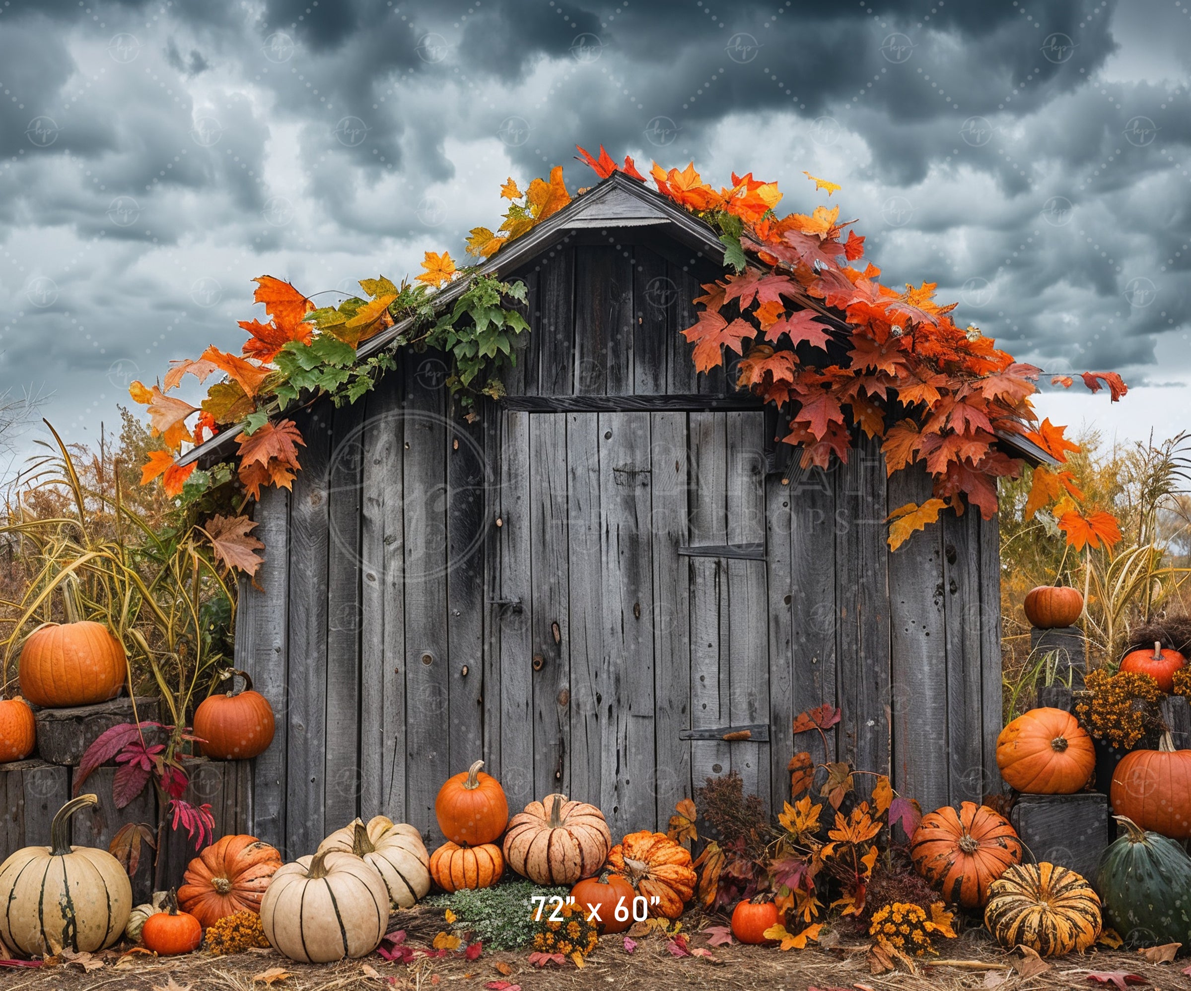 Rustic Autumn Shed with Pumpkins Backdrop